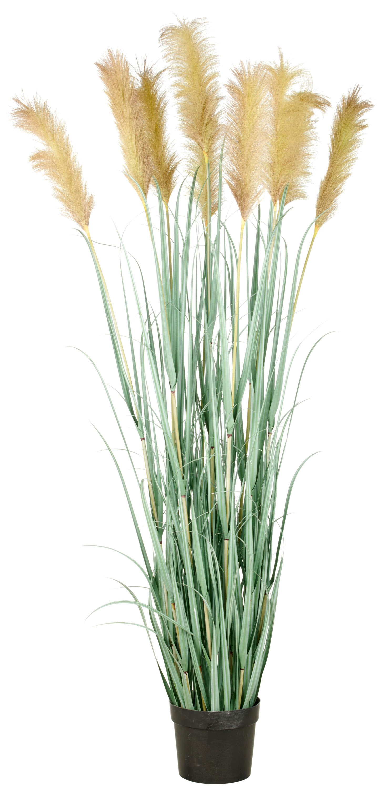 Creativ green Kunstgras »Grasbusch Cortaderia« in opulenter Größe günstig online kaufen