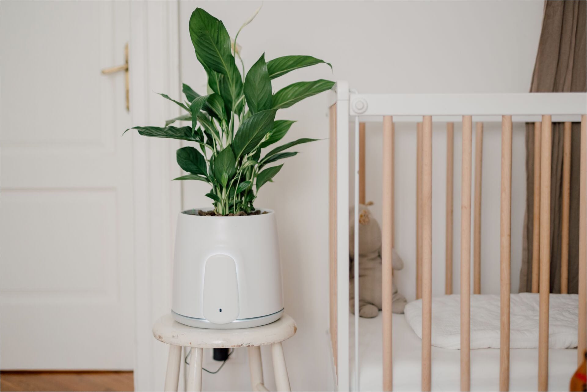 Vitesy Luftreiniger »Natede Smart – Smarte Luftreinigung und stilvoller Blumentopf«, für 20 m² Räume, Waschbarer Filter, App-Steuerung, Selbstbewässerung Blumentopf