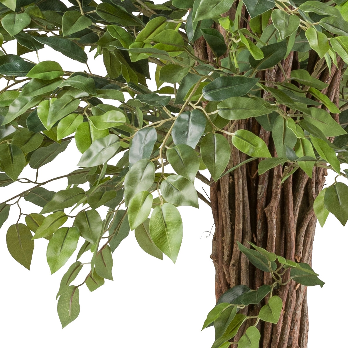 Creativ green Kunstpflanze »Ficus benjamina«, mit lianenartigem Stamm