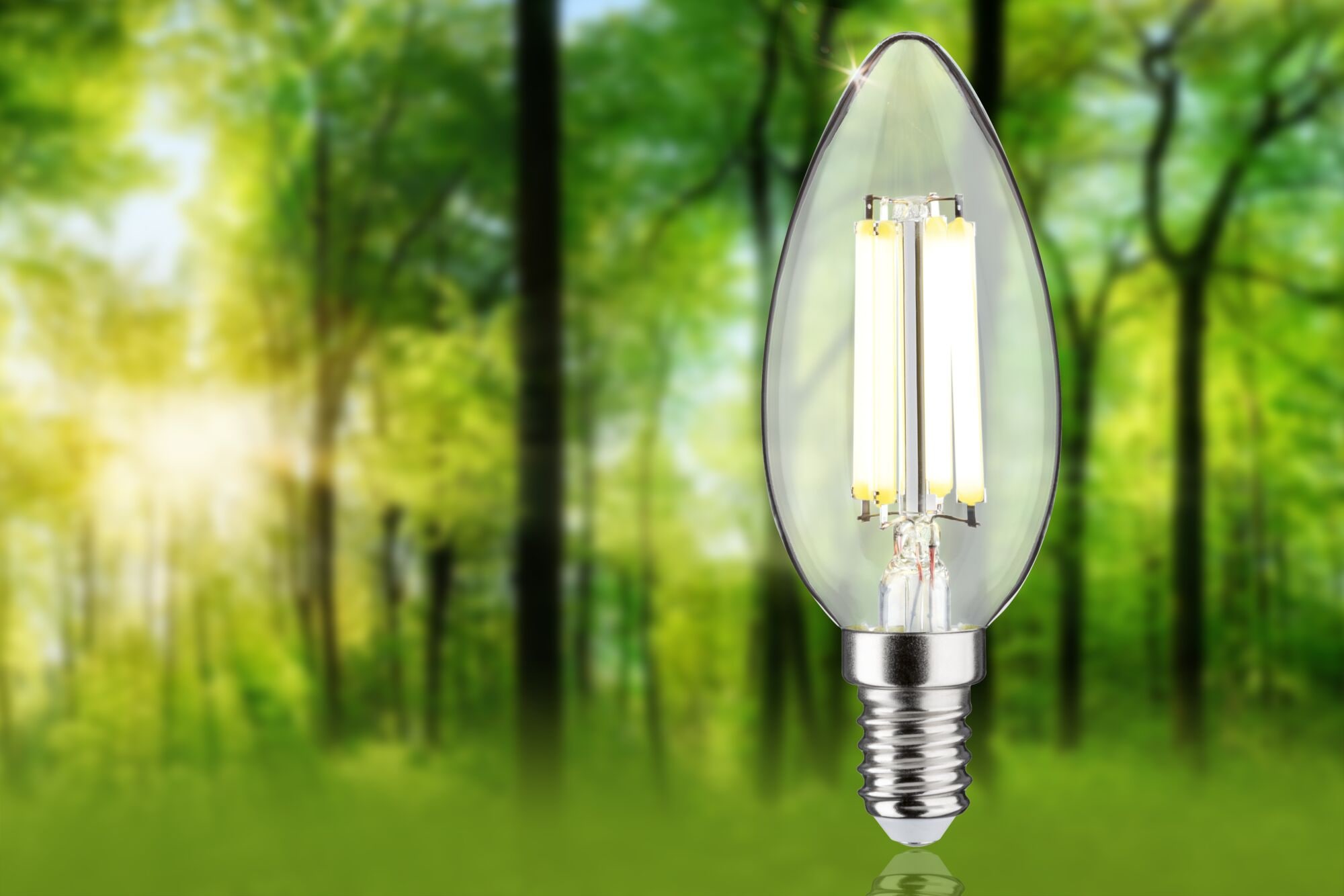 Paulmann LED-Leuchtmittel »Eco-Line Filament 230V LED Kerze E14 1er-Set 525lm 2,5W 4000K Klar«, E14, 1 St., Neutralweiß