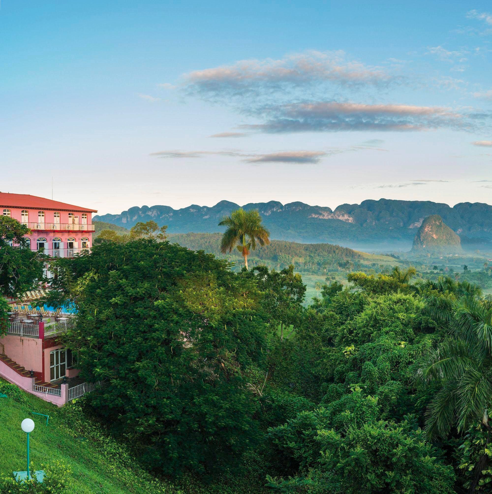 Rasch Fototapete »Young Artists« Wald   gemustert glatt günstig online kaufen