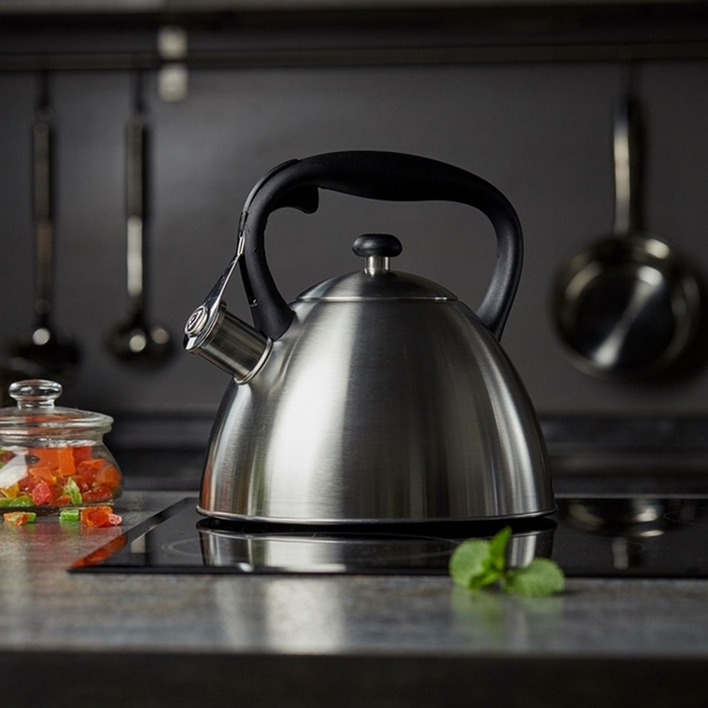 RESTO Kitchenware Wasserkessel »Gemini, Flötenkessel 3 l mit wärmespeichern günstig online kaufen