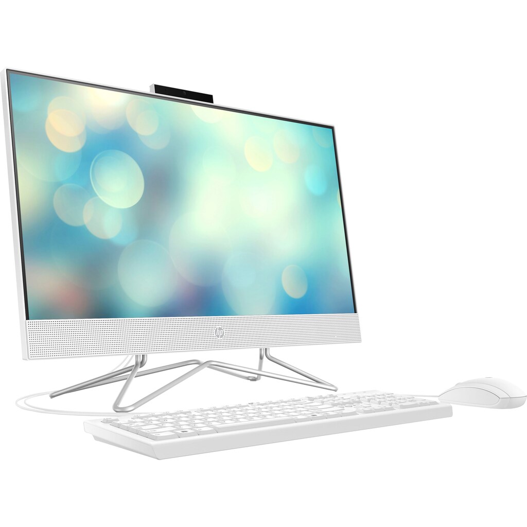 HP All-in-One PC »24-df1005ng«