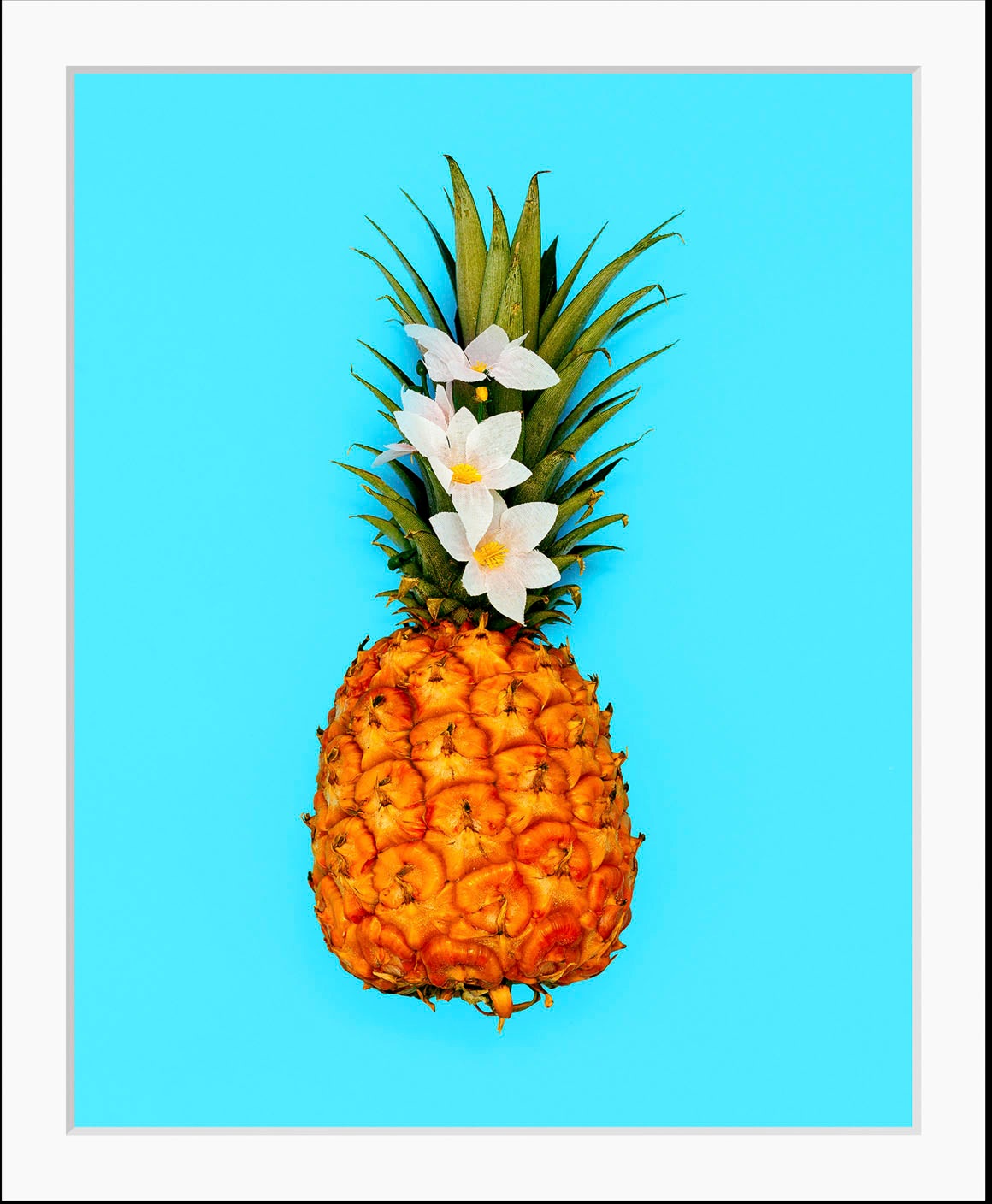 queence Bild »Mark« Essen   Figuren   Kunst   Lebensmittel   Obst   Obst Bi günstig online kaufen