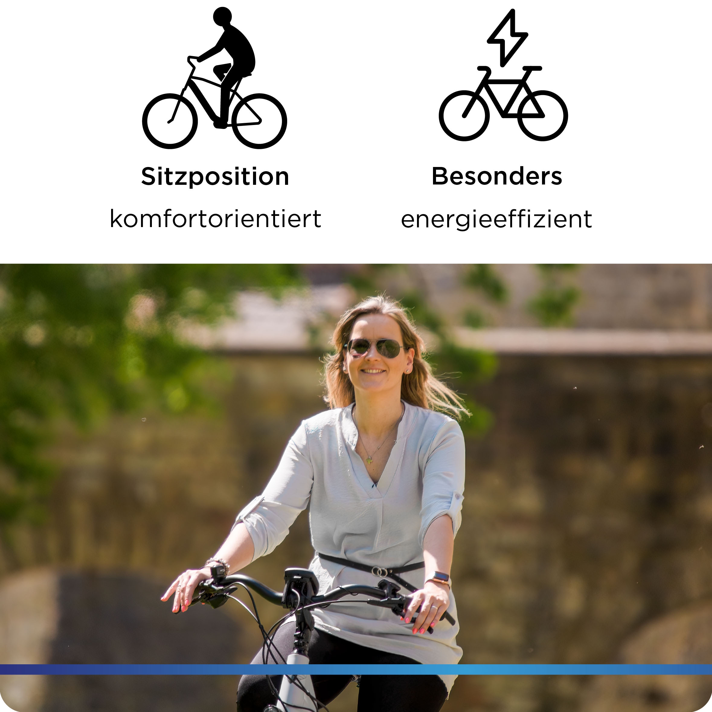 Zündapp E-Bike »Z810«, 8 Gang, Shimano, Altus RD-M310, Heckmotor 250 W