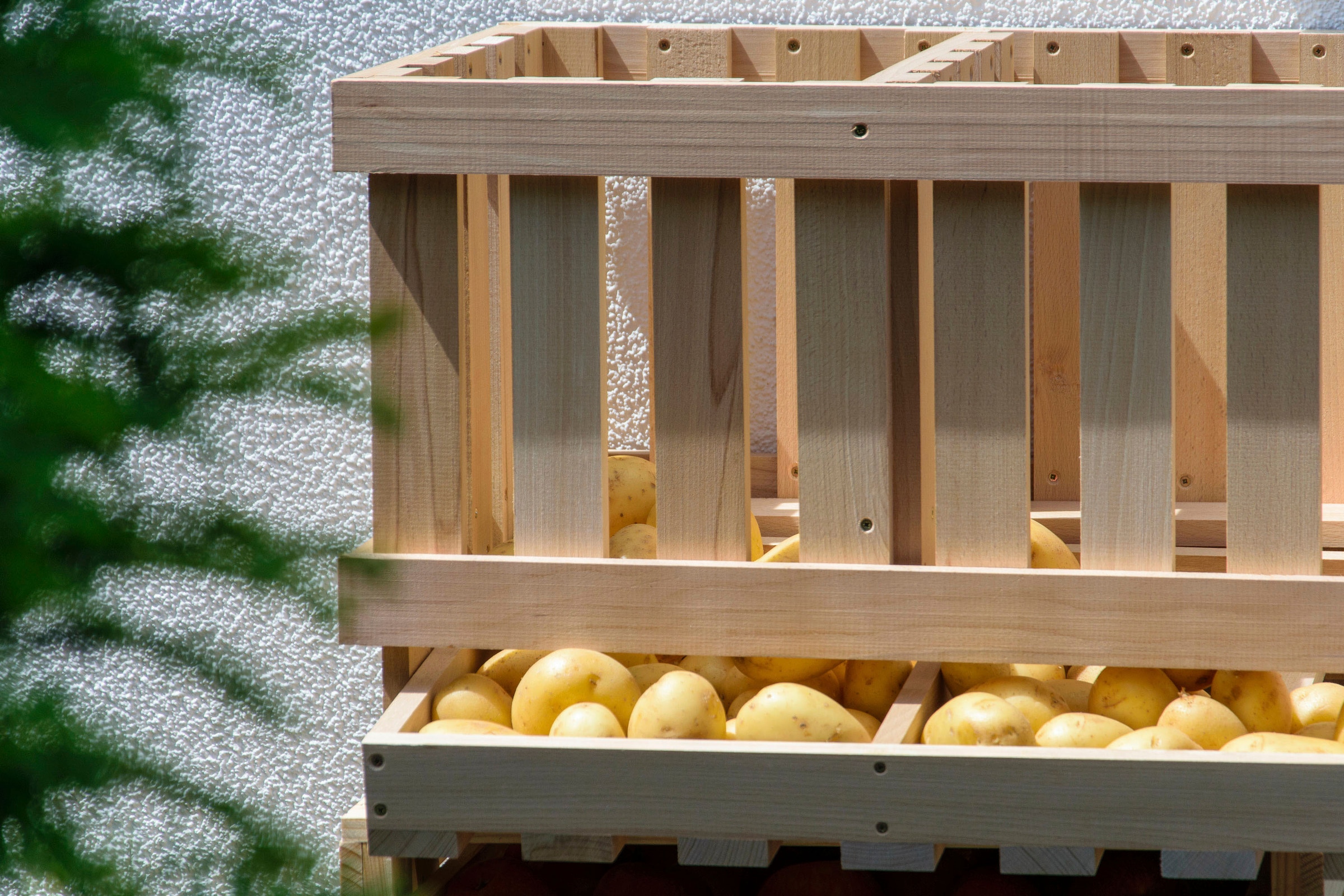 dobar Holzkiste Vorratsbehälter aus Holz mit 2 Abteilungen