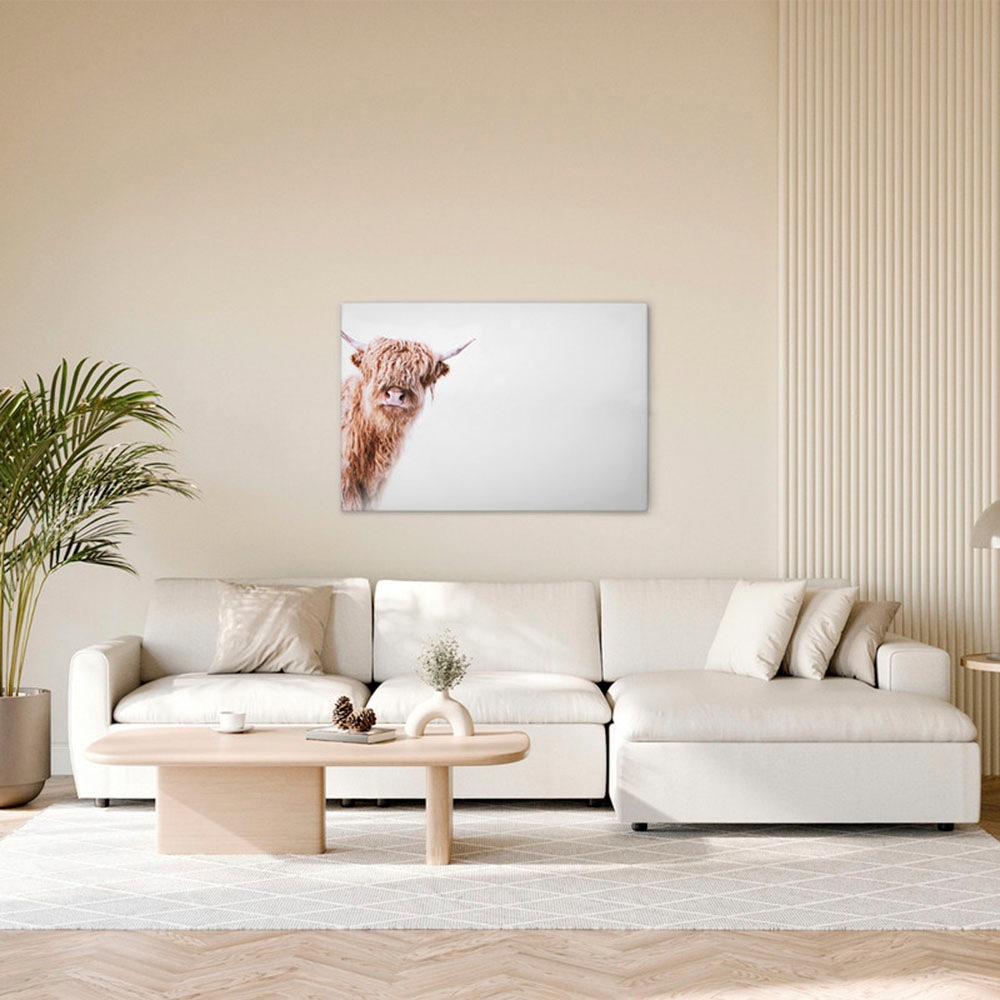 A.S. Création Leinwandbild »Highland Cattle 2 - Wandbild Weiß Braun Keilrah günstig online kaufen