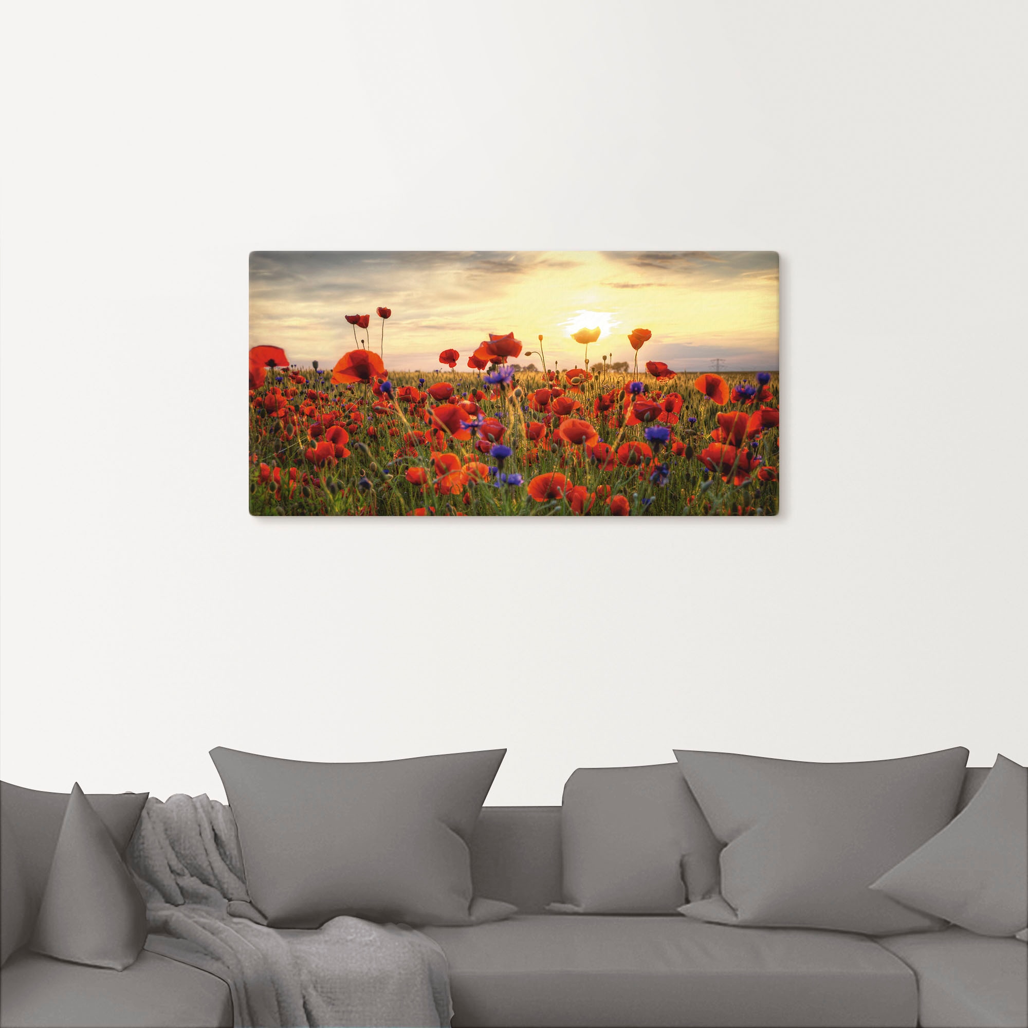 Artland Wandbild "Mohnblumen", Blumen, (1 St.), als Alubild, Outdoorbild, L günstig online kaufen