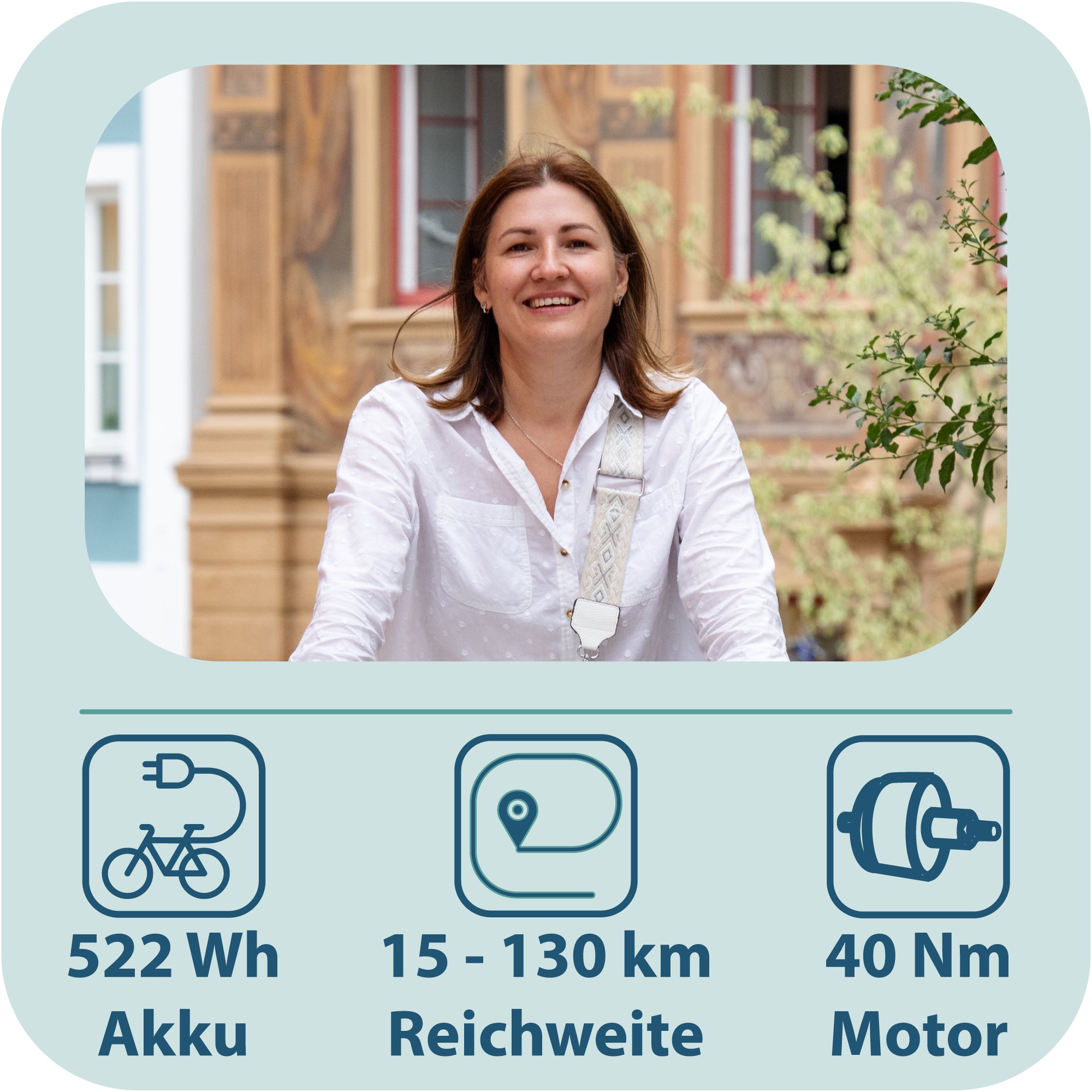 Tretwerk »Aurora« 7 Gang Nabenschaltung Frontmotor 250 W Pedelec, Elektrofahrrad für Damen und Herren