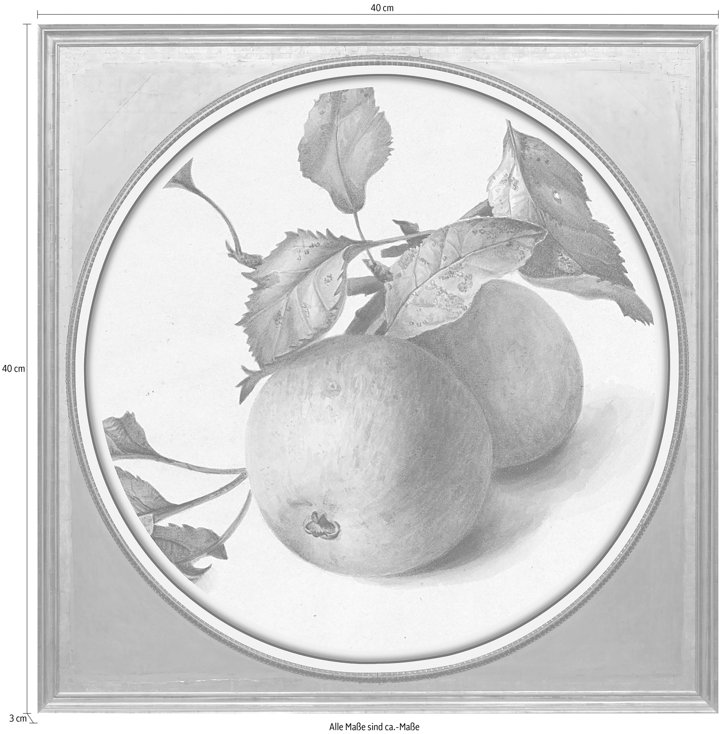 queence Acrylglasbild »Äpfel«, Obst-Obst Bilder-Kunst-Gemälde, Fine Art-Print in Galeriequalität