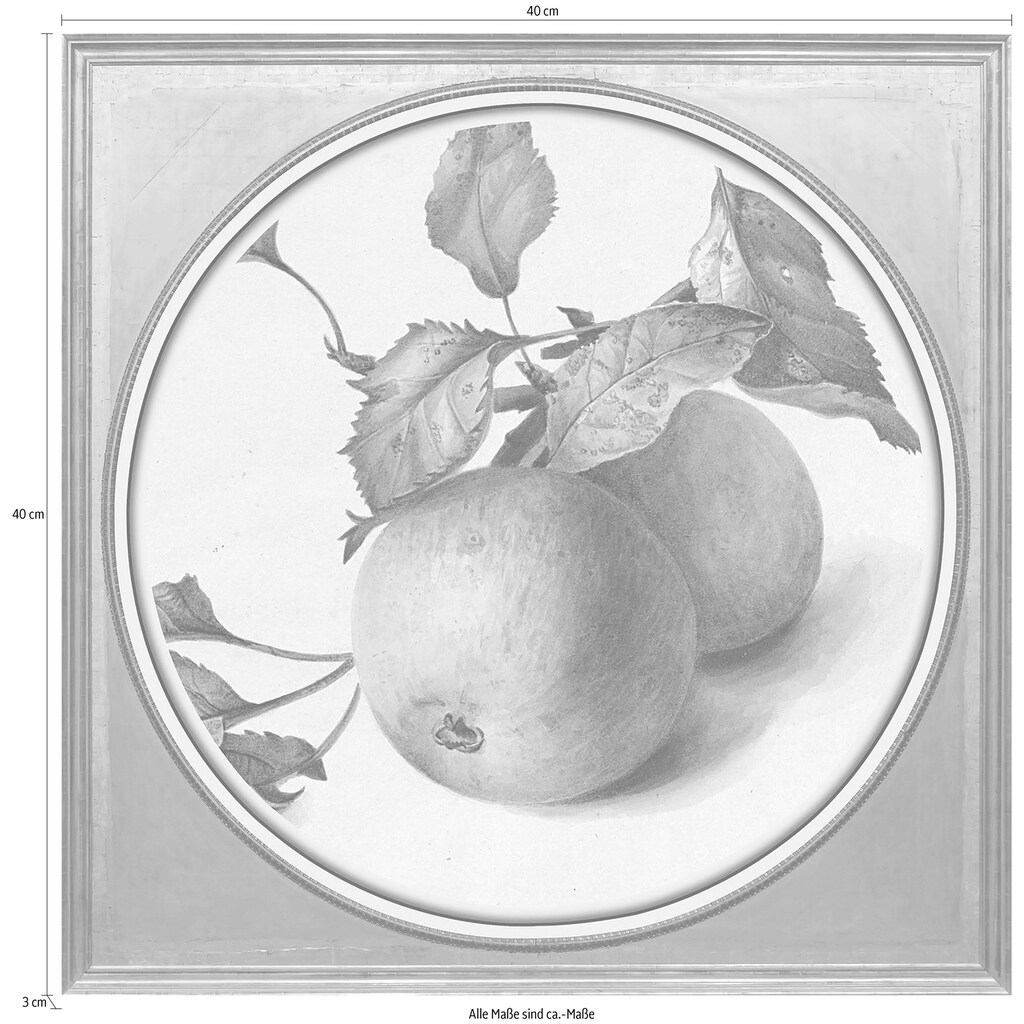 queence Acrylglasbild »Äpfel«