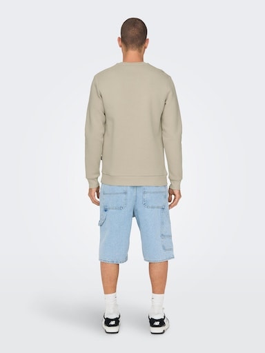 ONLY & SONS Sweatshirt »ONSCERES CREW NECK NOOS«