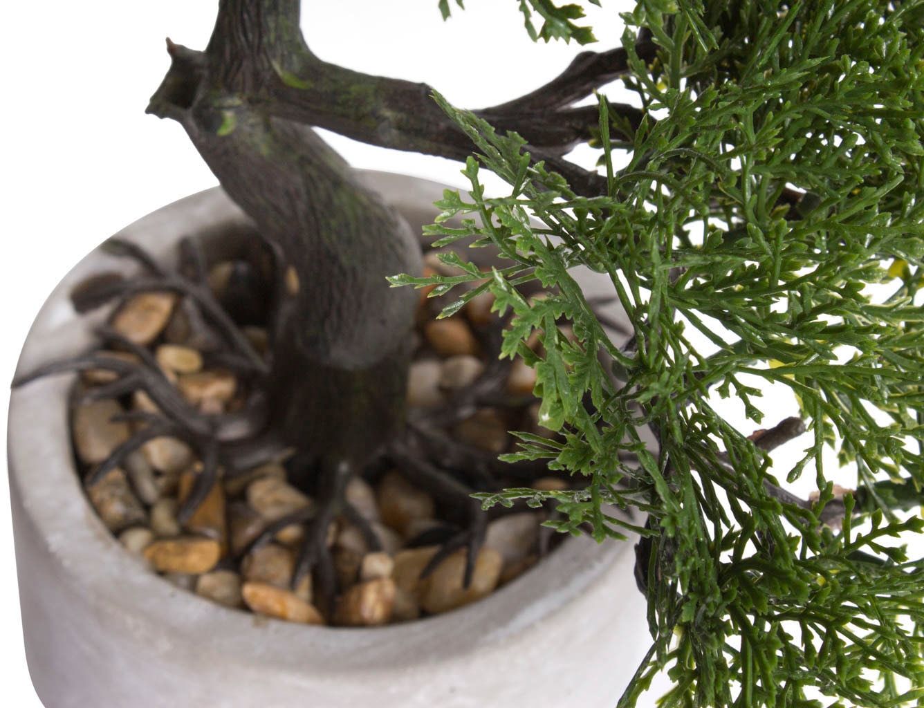 Botanic-Haus Kunstbonsai auf Bonsai« kaufen Raten »Ceder