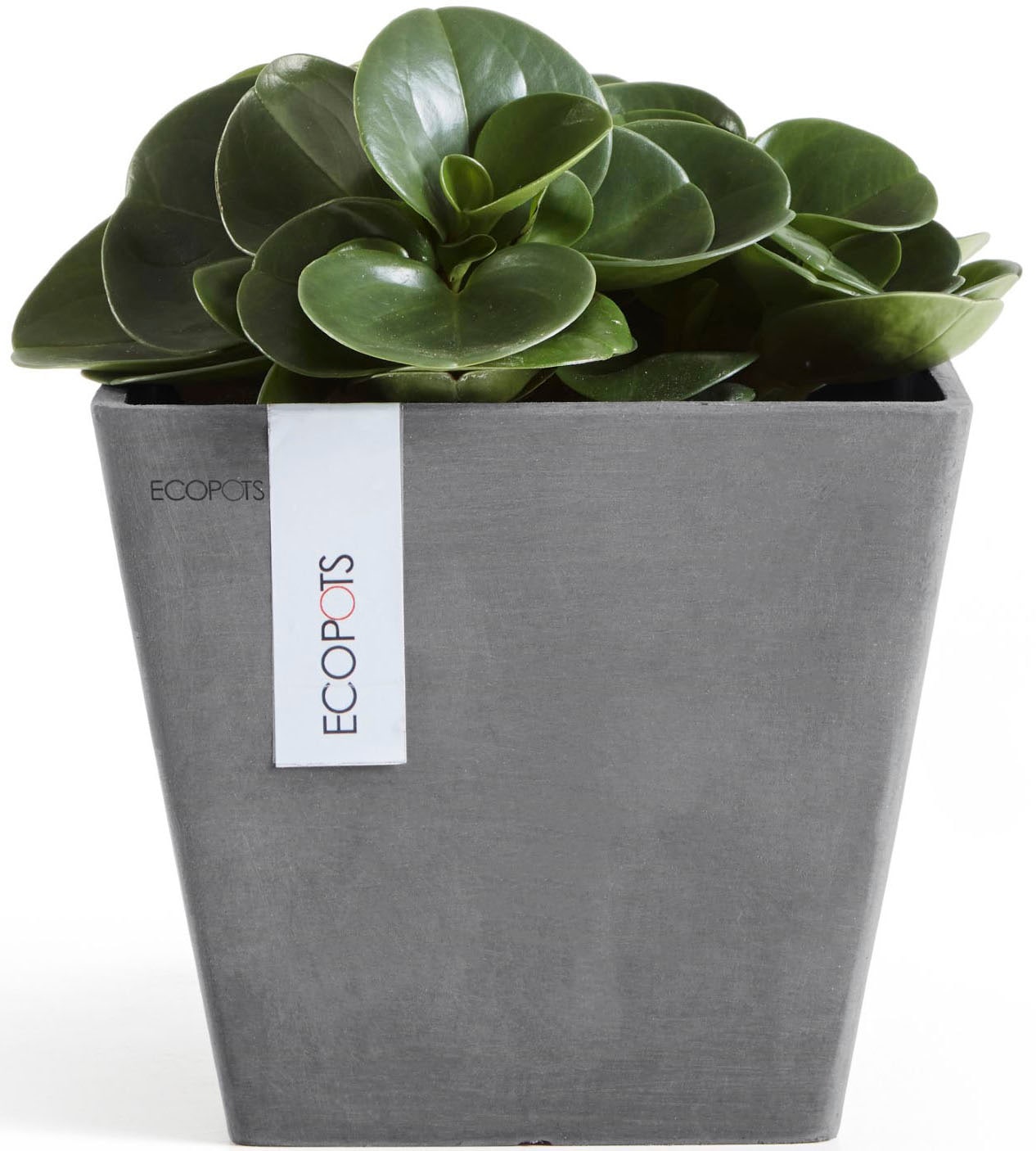 ECOPOTS Blumentopf »ROTTERDAM Grey« BxTxH: 20x20x17,5 cm