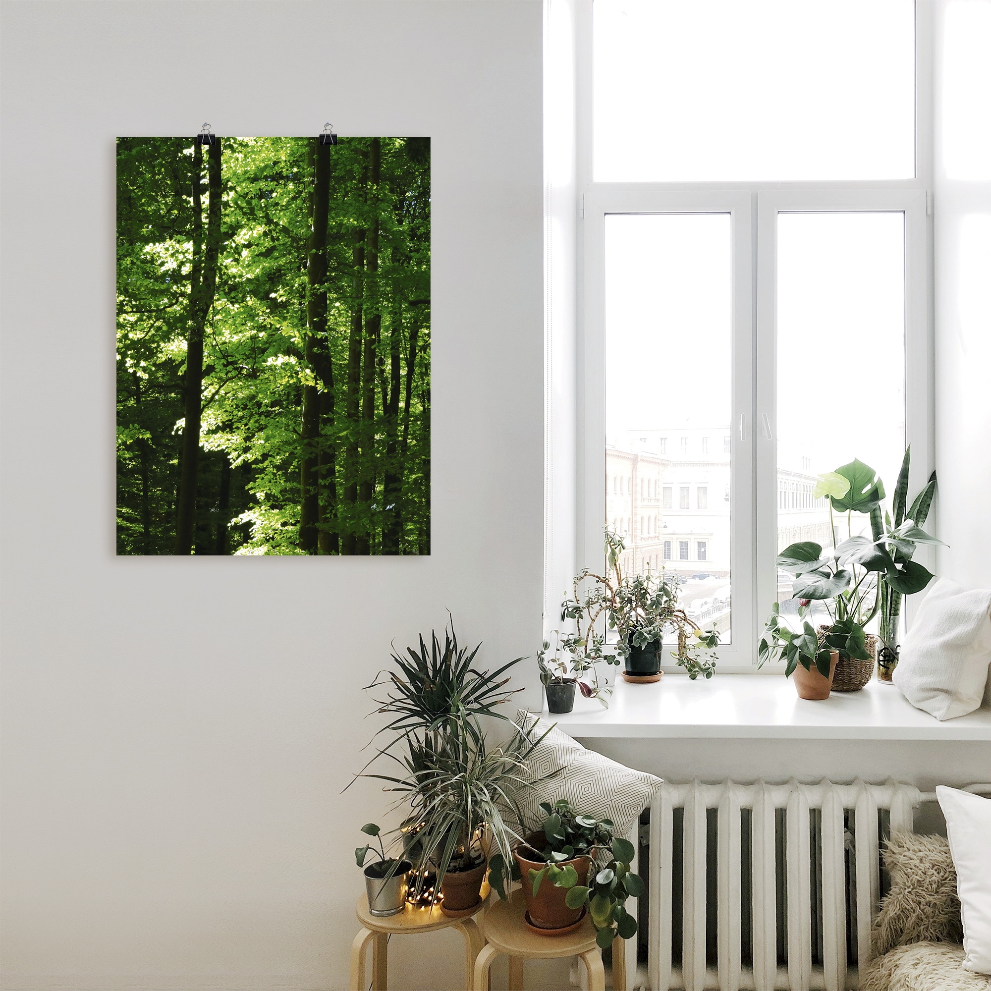 Artland Poster »Im Buchenwald«, Wald, (1 St.), als Alubild, Leinwandbild, Wandaufkleber oder Poster in versch. Größen