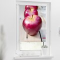 LICHTBLICK ORIGINAL Seitenzugrollo »Klemmfix Motiv Apfel«, Lichtschutz, ohne Bohren, freihängend, bedruckt