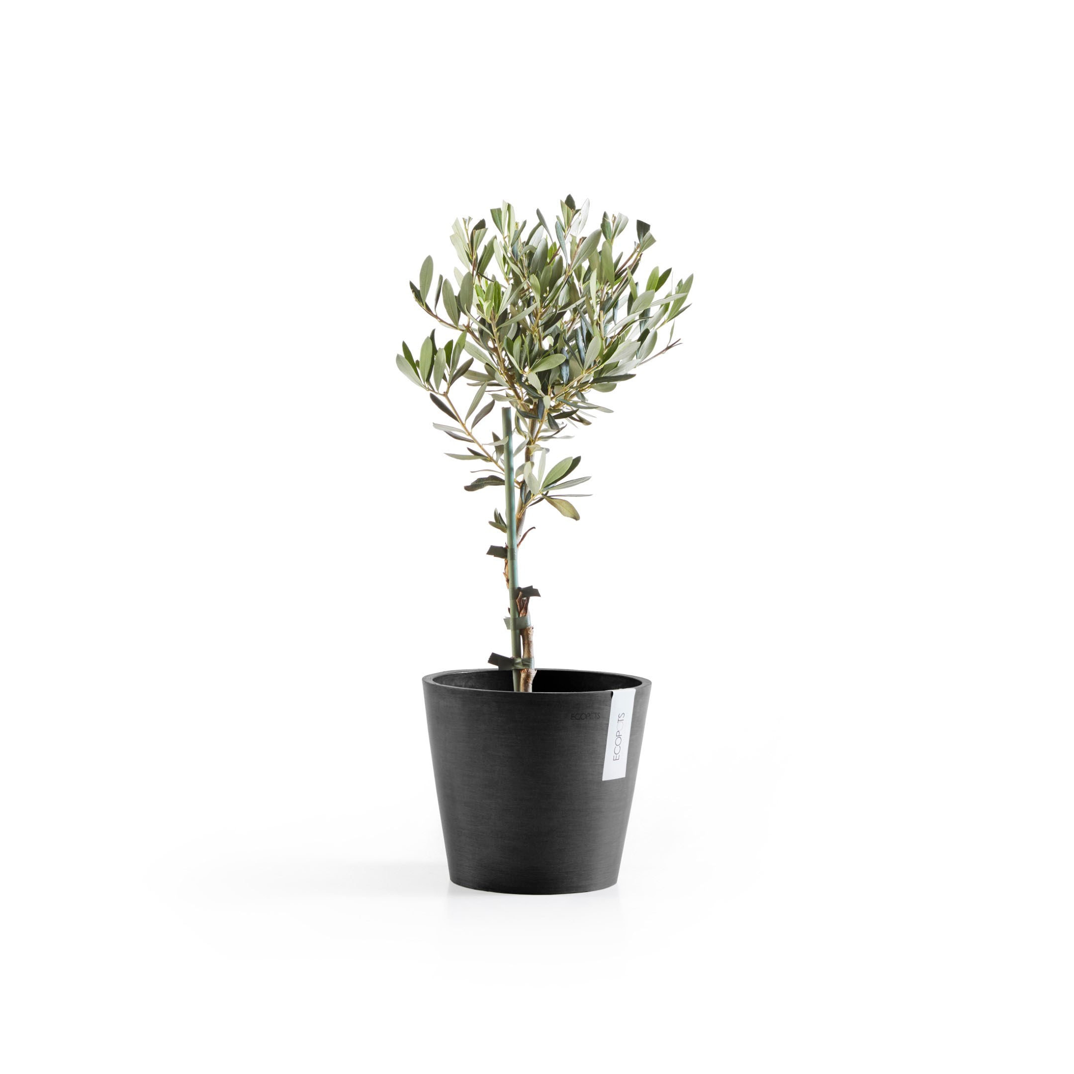 ECOPOTS Blumentopf »Amsterdam«, ØxH: 20x17,5 cm