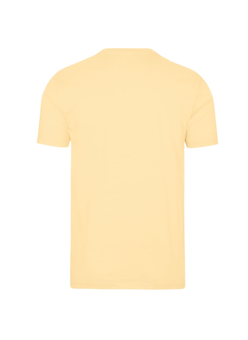 Trigema T-Shirt »TRIGEMA T-Shirt aus 100% Baumwolle«, (1 tlg.)