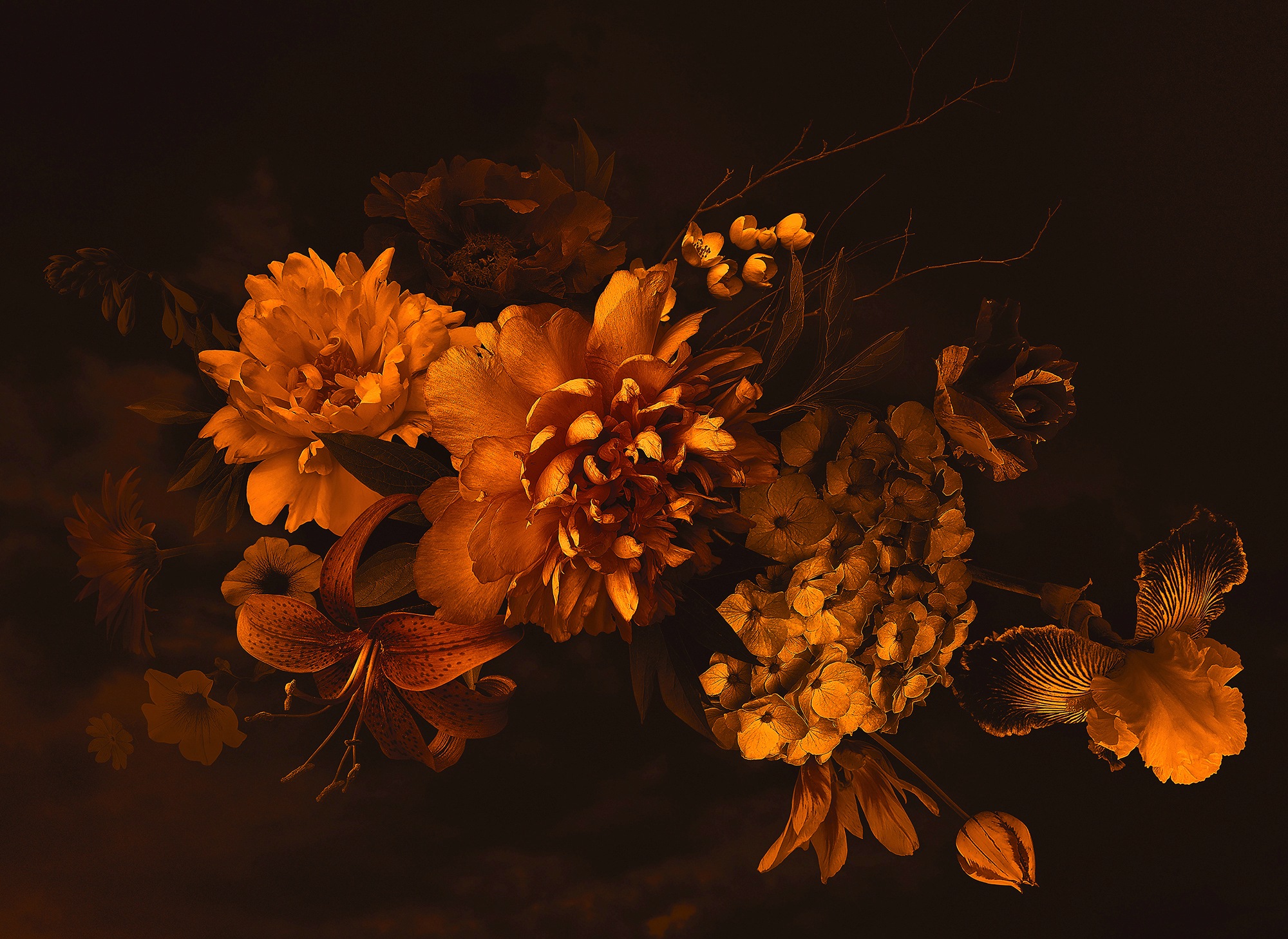 living walls Fototapete »Designwalls Blossom Variety 2« glatt Vlies, Wand, günstig online kaufen