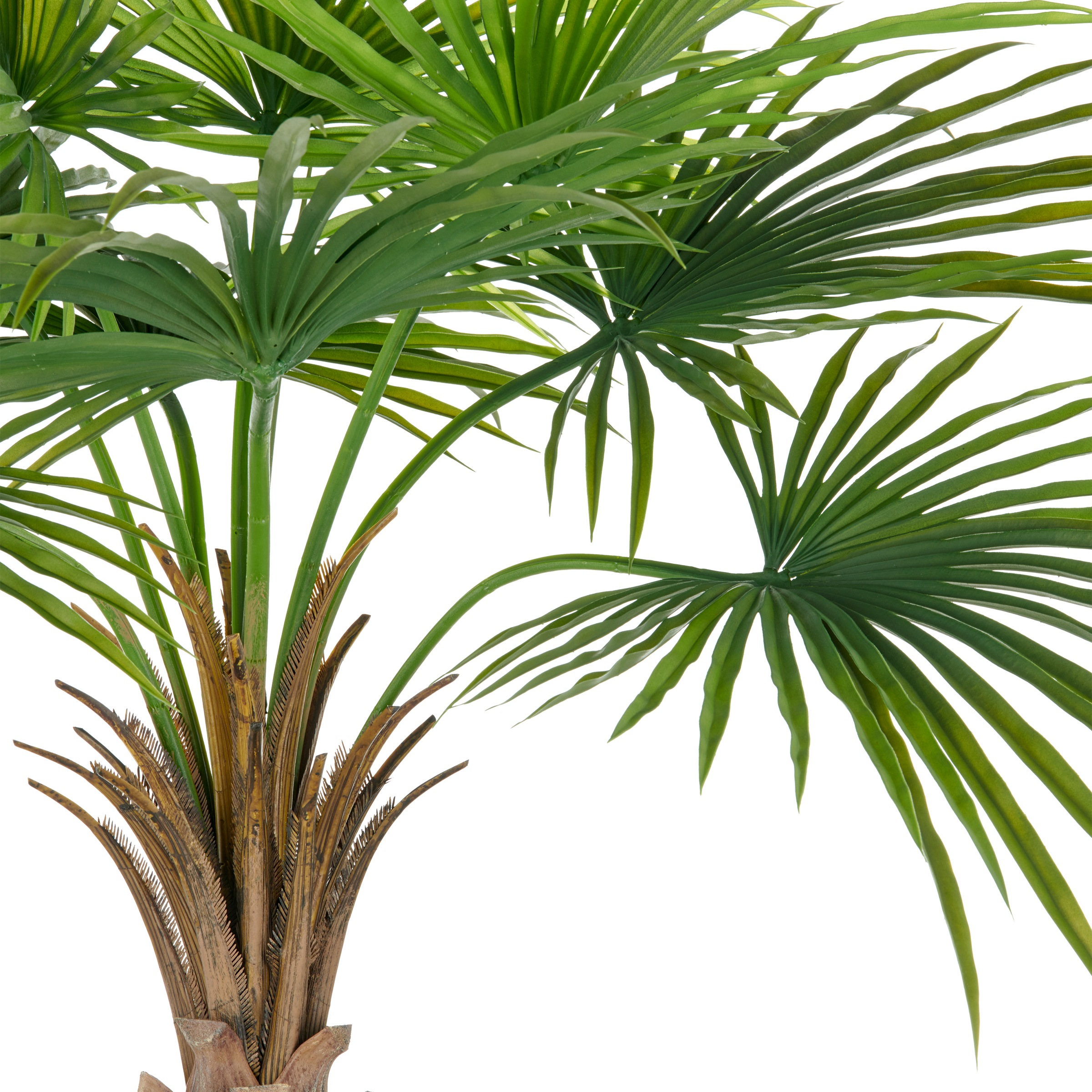 Creativ green Kunstpalme »Fächerpalme« mit naturgetreuen Palmwedeln günstig online kaufen