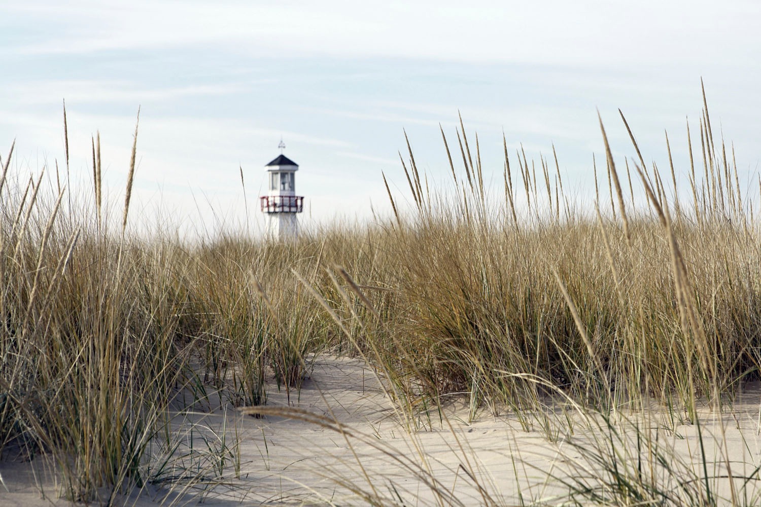 queence Acrylglasbild »Erasmus«, Strand-Himmel-Düne-Deutschland-Gräser-Meer günstig online kaufen