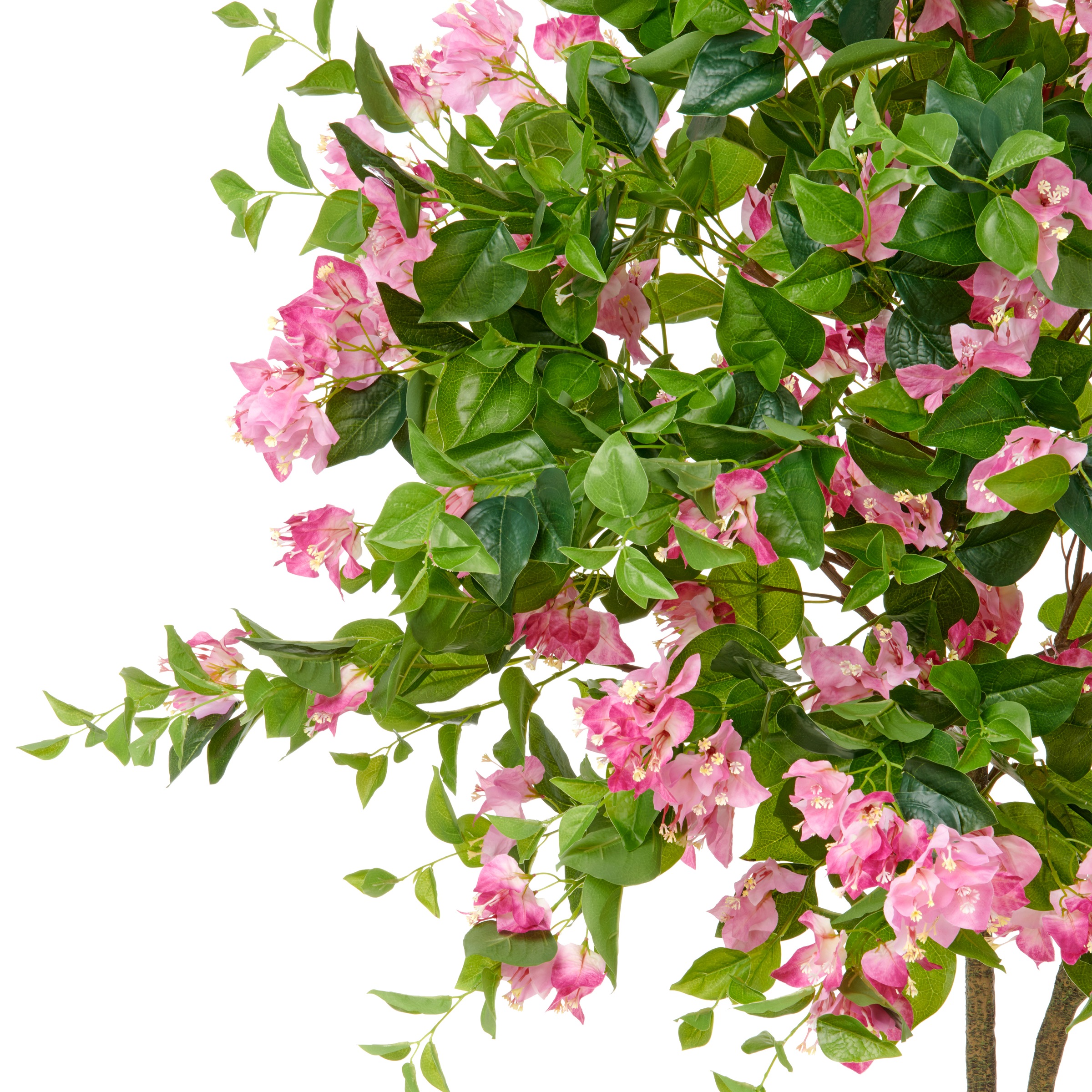 Creativ green Kunstbaum »Bougainvillea«, mit zahlreichen Blüten günstig online kaufen