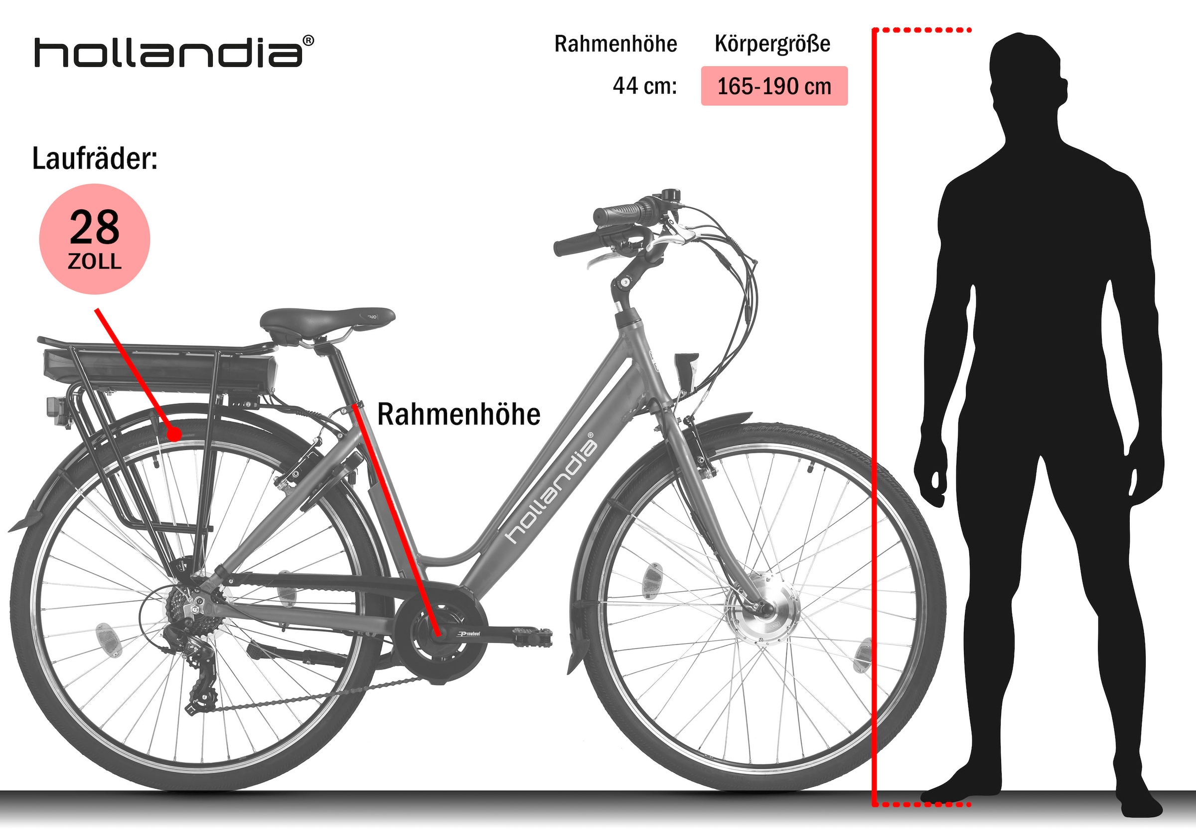 Hollandia »Optima Basic« 7 Gang Shimano Tourney Schaltwerk Kettenschaltung Frontmotor 250 W Pedelec, Elektrofahrrad für Damen u. Herren