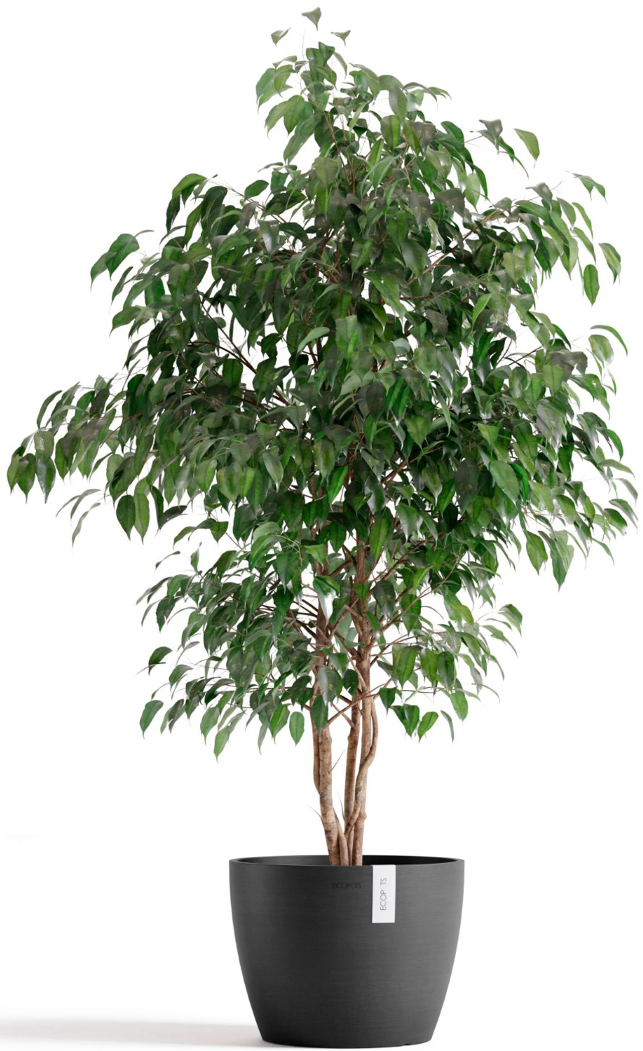 ECOPOTS Blumentopf »Stockholm 31 Dunkelgrau« für innen und außen: frostsicher, bruchsicher und lichtbeständig