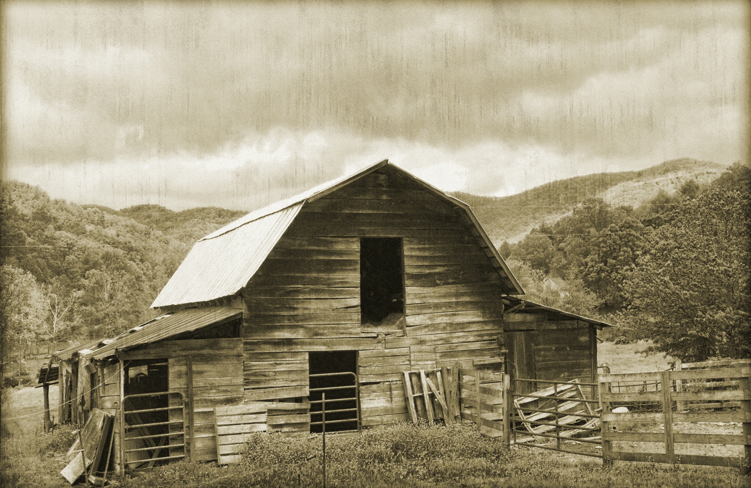 Papermoon Fototapete »VINTAGE-NATUR LANDSCHAFT SCHWARZ WEIßBÄUME WANDBILD« günstig online kaufen