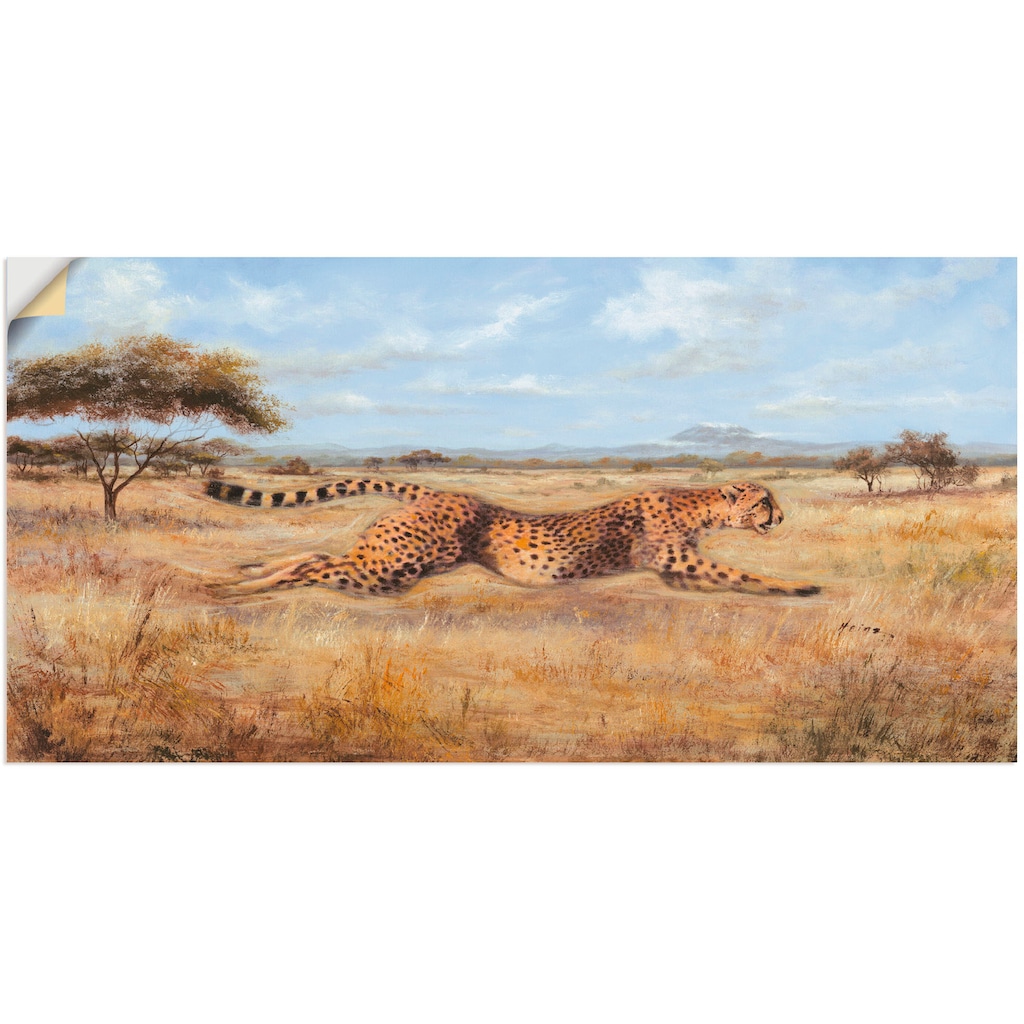 Artland Wandfolie »Laufender Gepard«, Wildtiere, (1 St.)
