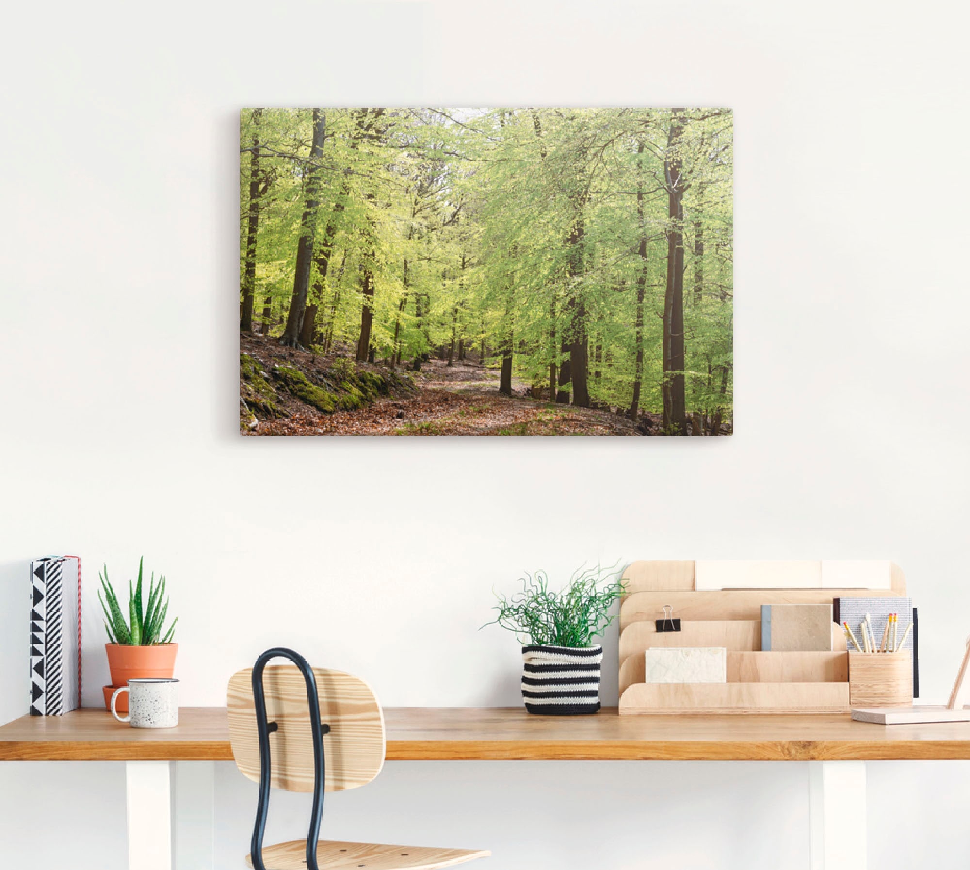 Artland Wandbild »Die Buchen im Frühling«, Wald, (1 St.), als Alubild, Outd günstig online kaufen