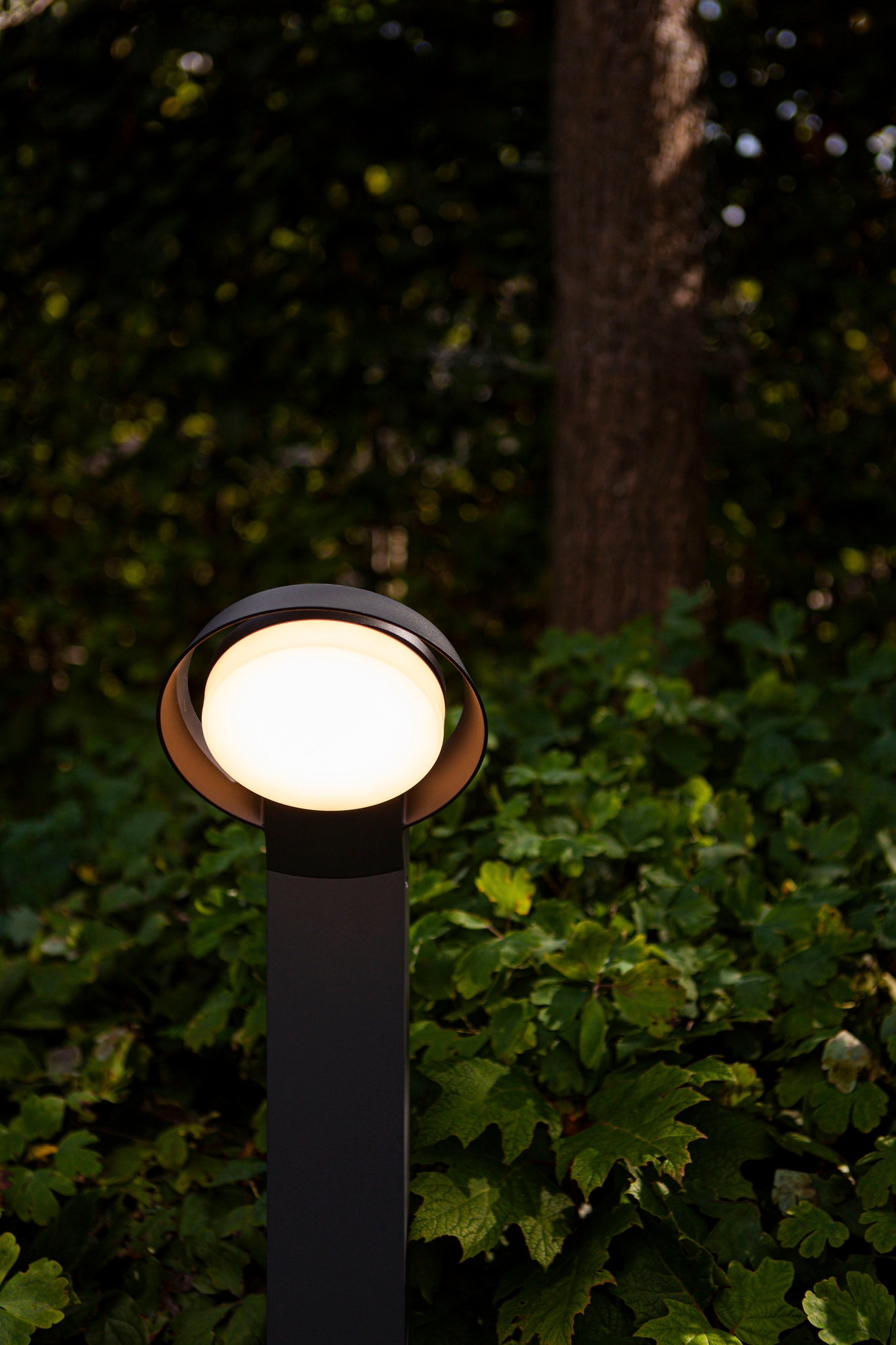 LUTEC LED Außen-Wandleuchte »POLO«, Leuchtmittel LED-Modul | LED fest integriert