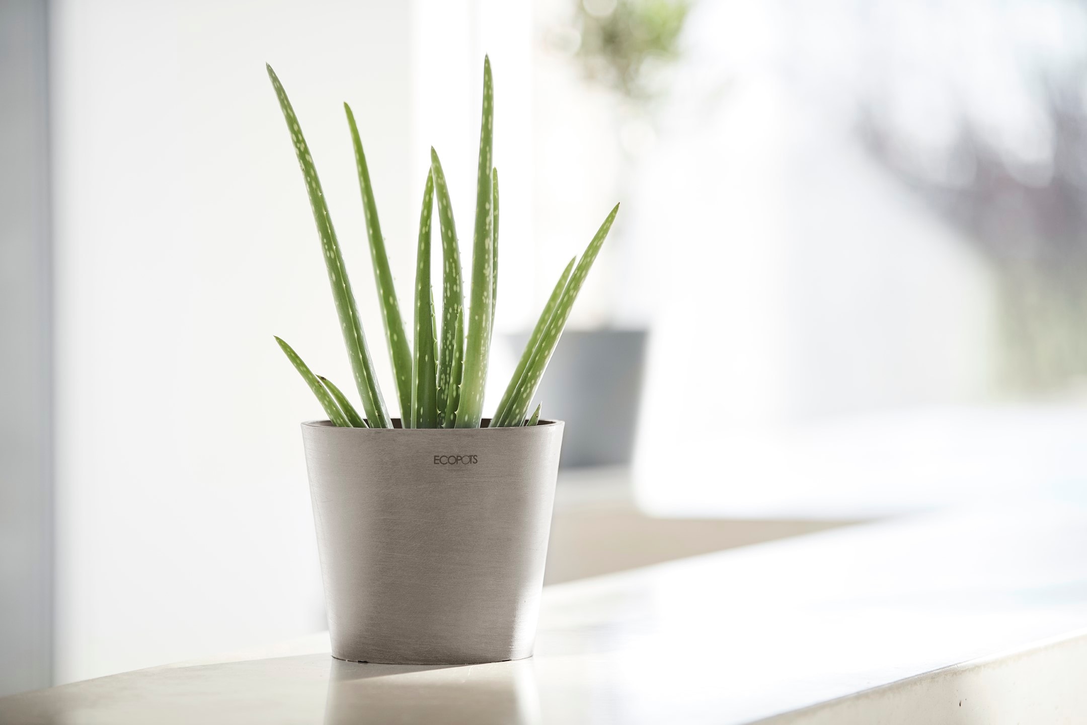 ECOPOTS Blumentopf »Amsterdam Mini 17 Taupe« für den Innenbereich