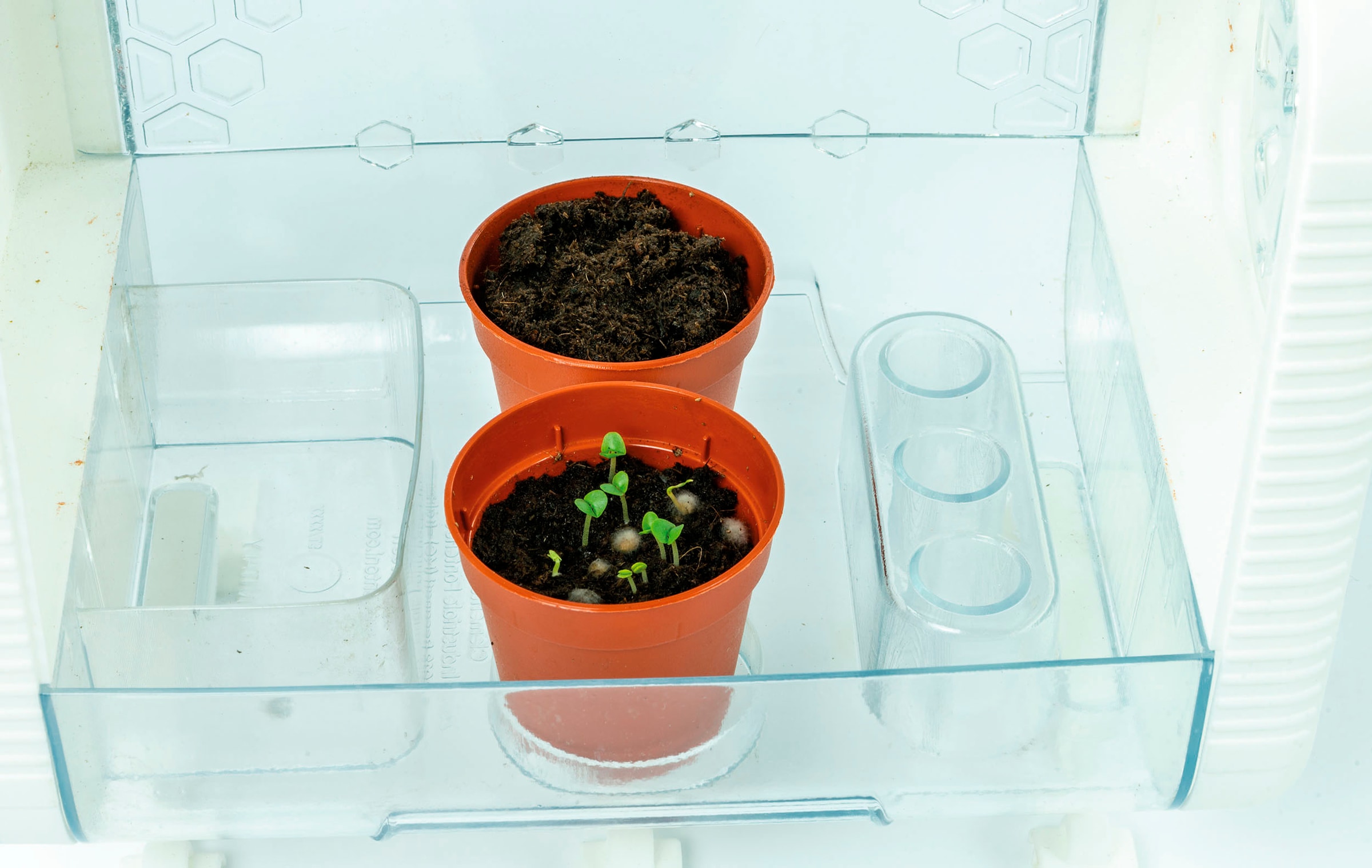 Clementoni® Experimentierkasten »Galileo Lab, High Tech Gewächshaus«