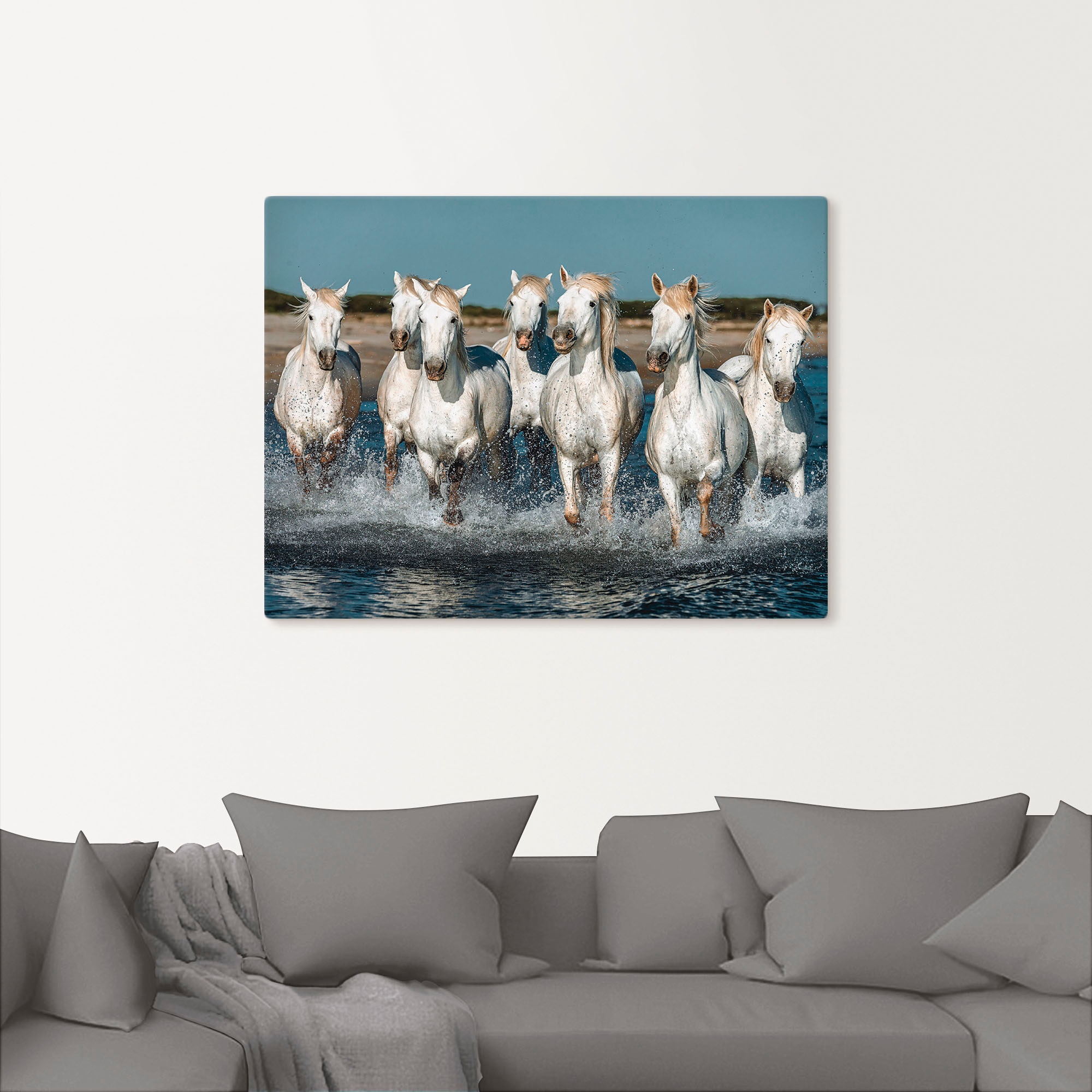 Artland Wandbild »Camargue Pferde galoppieren am Strand«, Haustiere, (1 St. günstig online kaufen