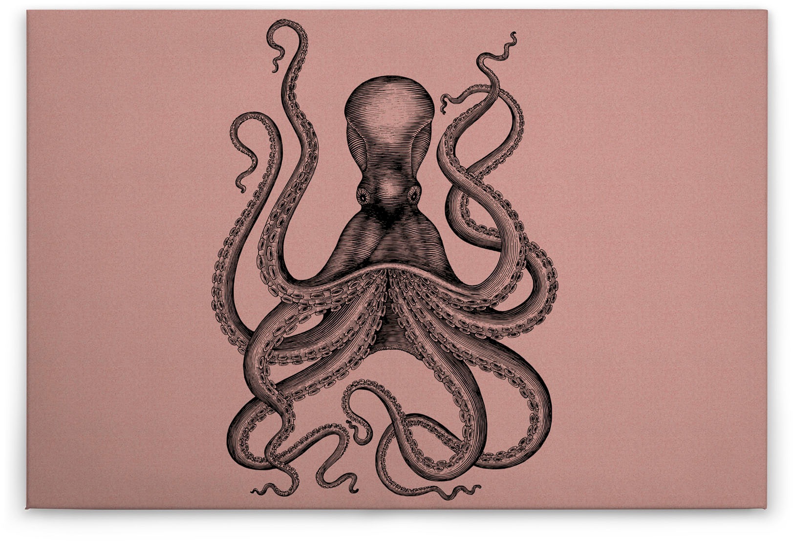 A.S. Création Leinwandbild »jules«, Kunst-Tiere-Kinder, (1 St.), Keilrahmen Bild Octopus Krake Leinwand-Bild Wohnzimmer modern Wandbild