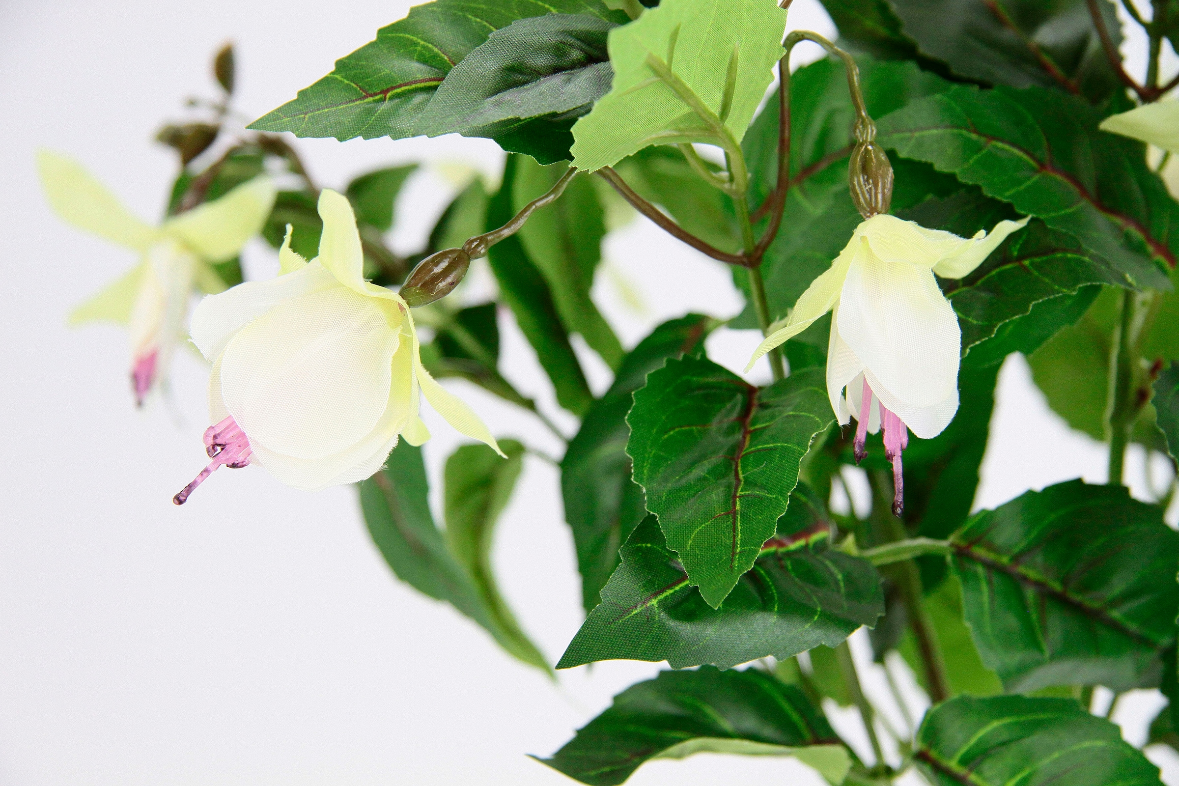 I.GE.A. Kunstblume online Doppelblütenblätter Hort Hybrid »Fuchsien«, Im Topfpflanze Zimmerpflanze Topf Deko kaufen