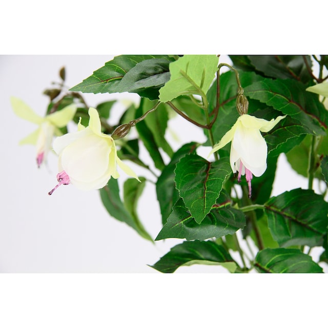 I.GE.A. Kunstblume »Fuchsien«, Im Topf Zimmerpflanze Deko  Doppelblütenblätter Topfpflanze Hybrid Hort online kaufen