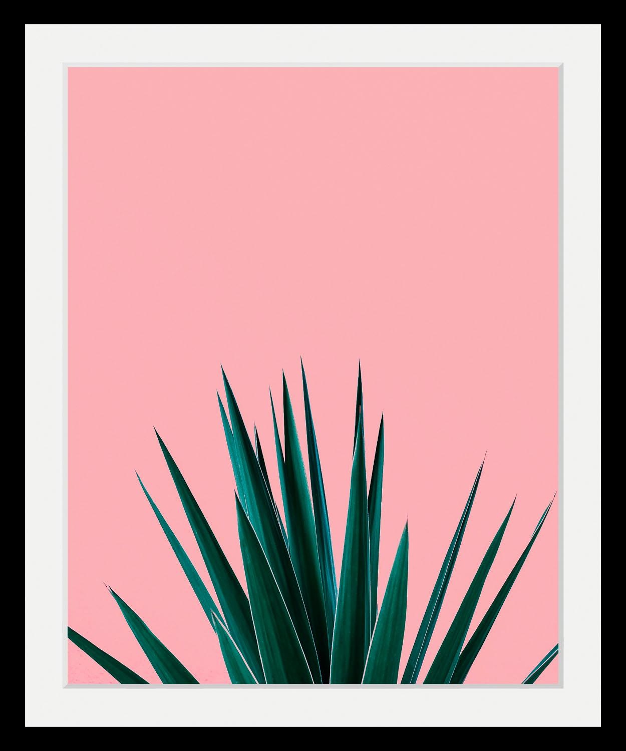 queence Bild »Palme«, Kunst-Pflanzen-Foto-Pflanzenbilder-Stechpalme, HD Pre günstig online kaufen