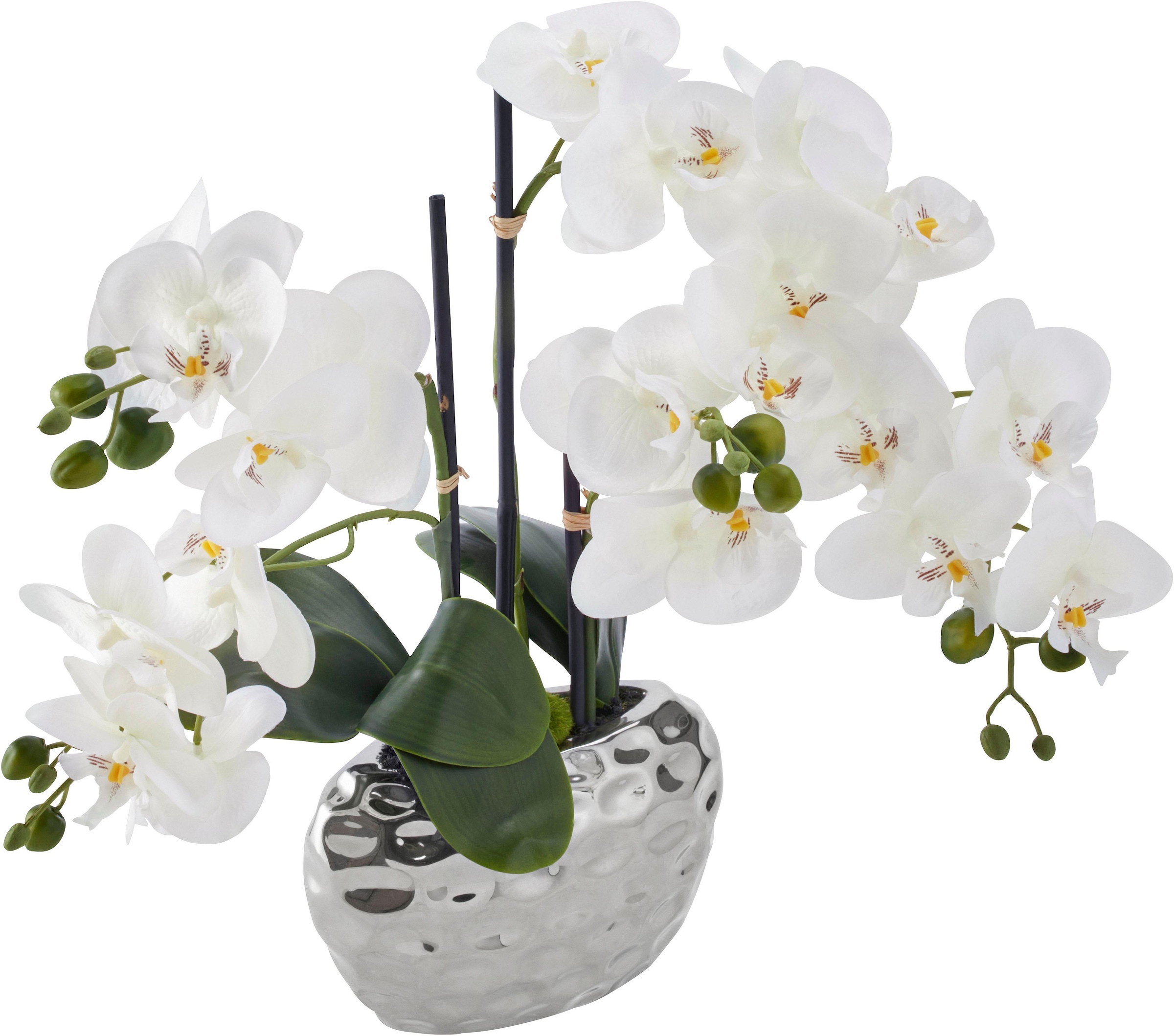 Creativ green Kunstpflanze »Orchidee«