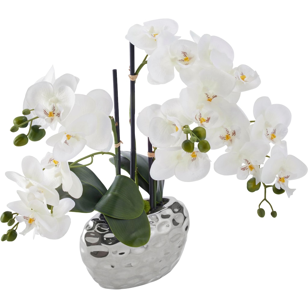 Creativ green Kunstpflanze »Orchidee«