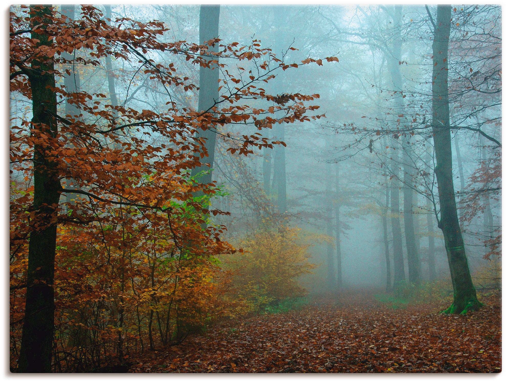 Artland Wandbild »Nebel im Herbstwald«, Wald, (1 St.), als Leinwandbild, Po günstig online kaufen