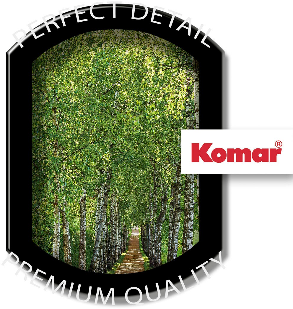 Komar Fototapete »Fototapete - Birkenallee - Größe 92 x 220 cm«, bedruckt