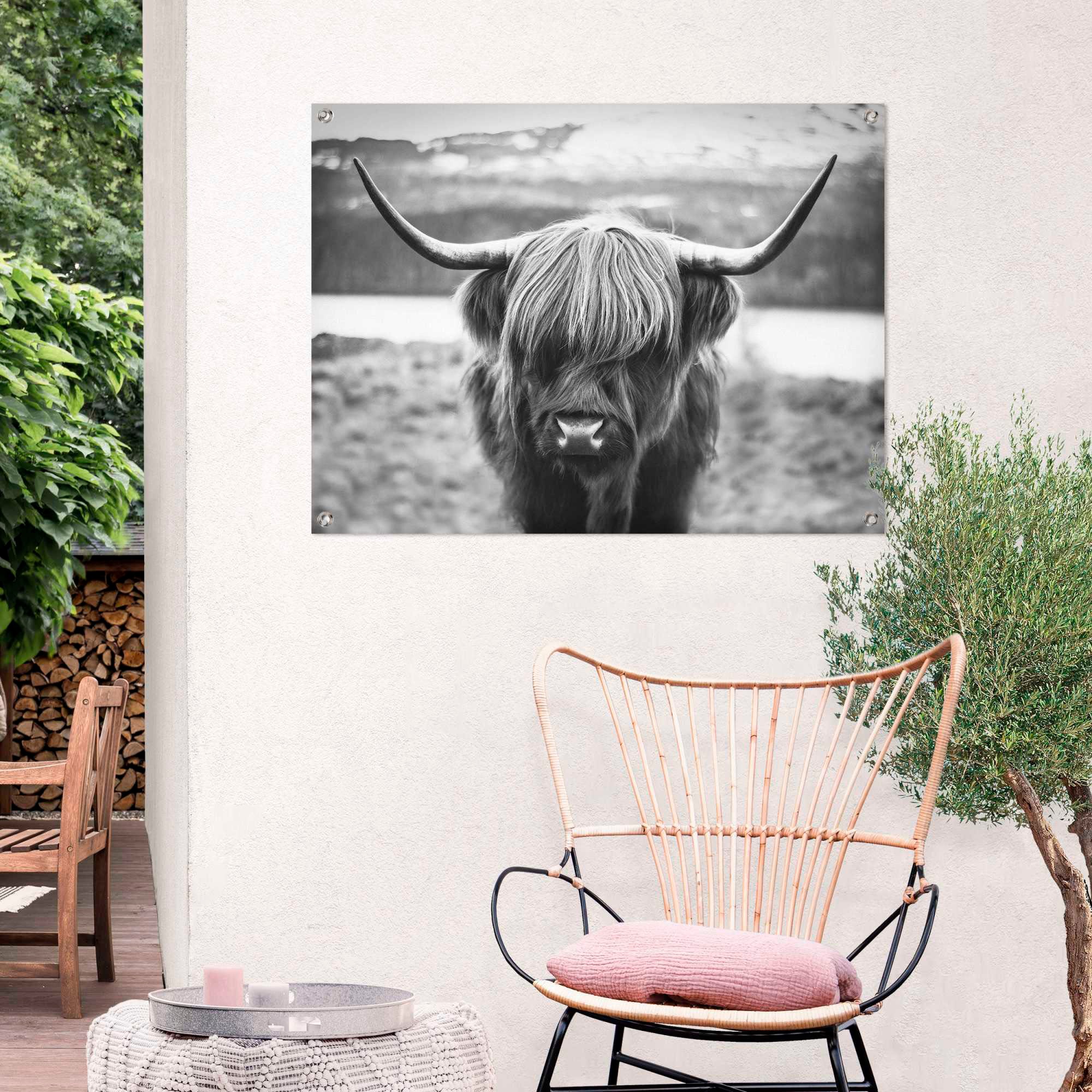 Reinders! Poster »Schottische Hochlandrind« günstig online kaufen