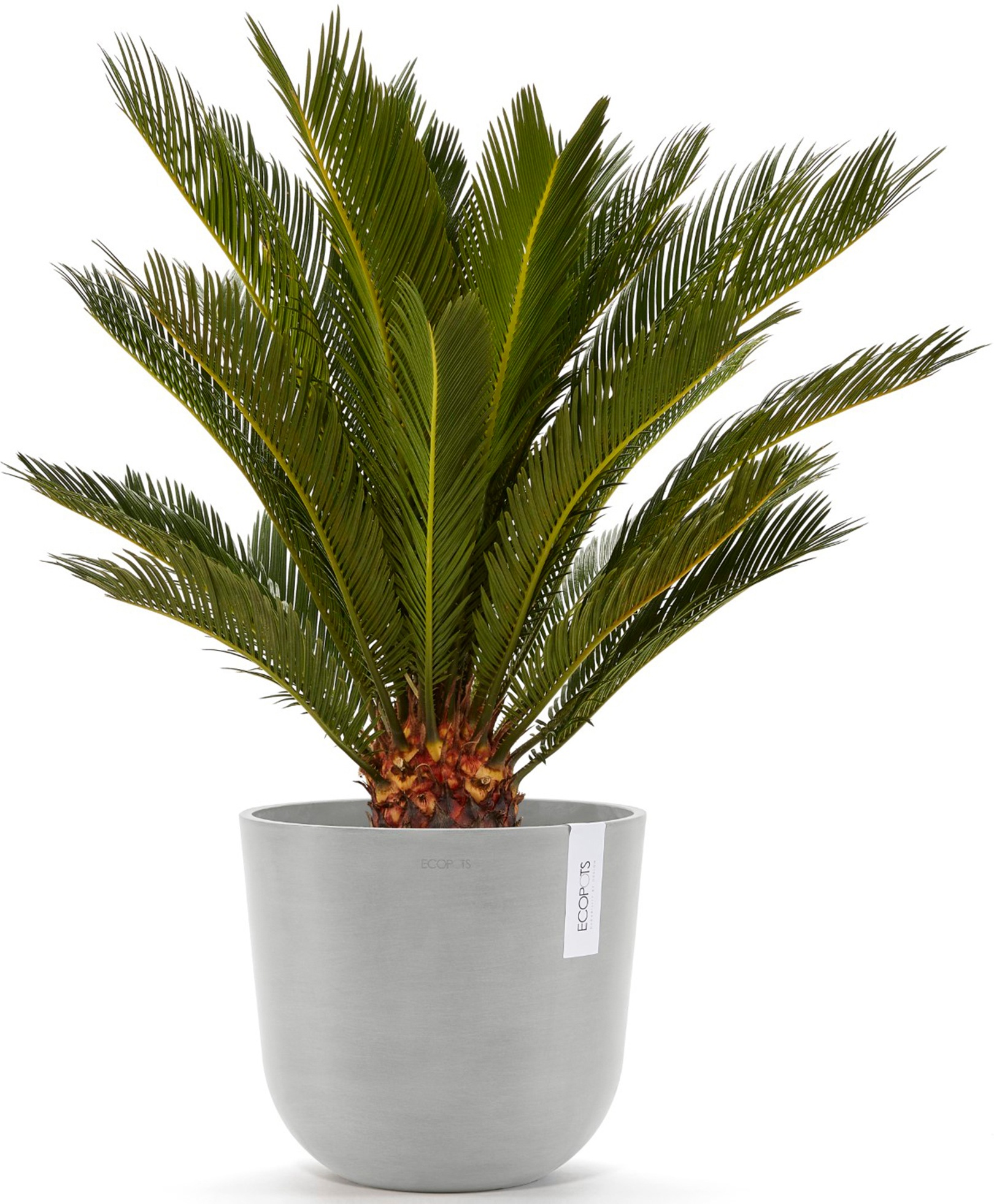 ECOPOTS Blumentopf »Oslo 25 + Wassersystem Weißgrau«, für innen und außen: frostsicher, bruchsicher und lichtbeständig