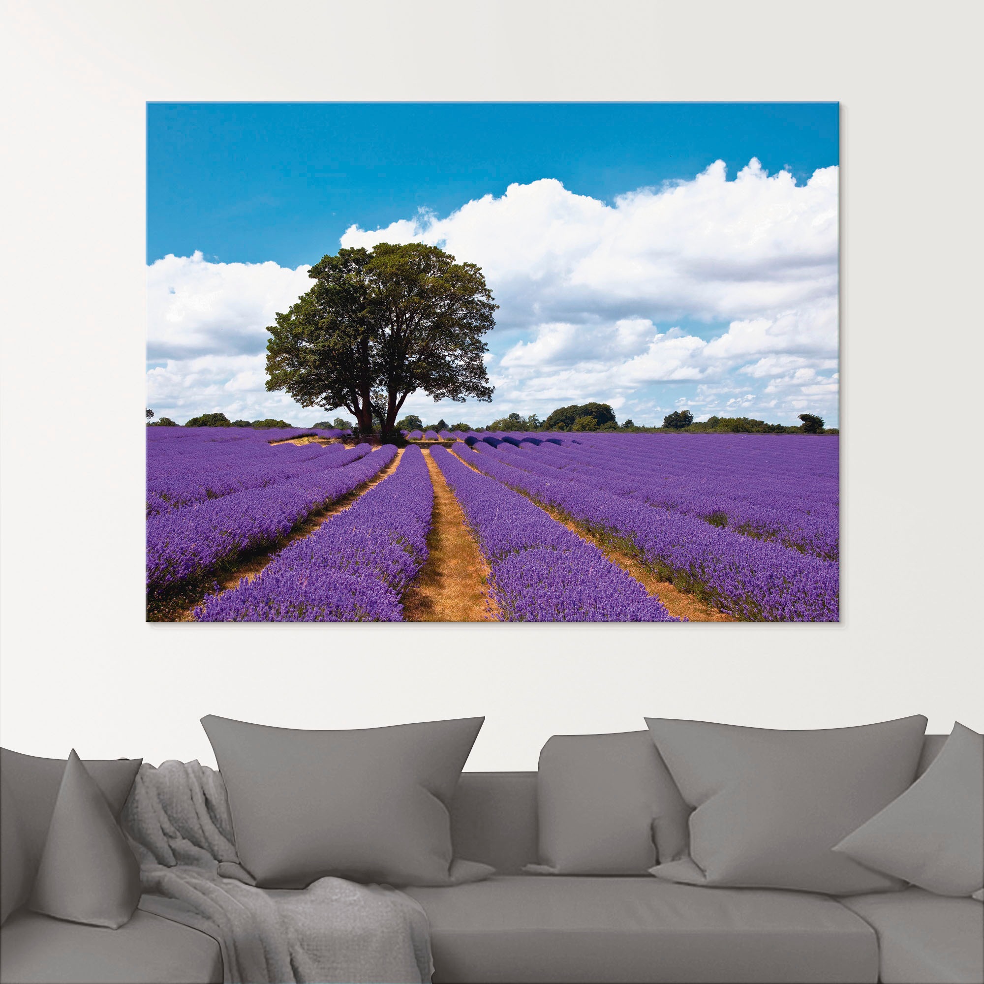 Artland Glasbild »Schönes Lavendelfeld im Sommer«, Felder, (1 St.), in verschiedenen Größen