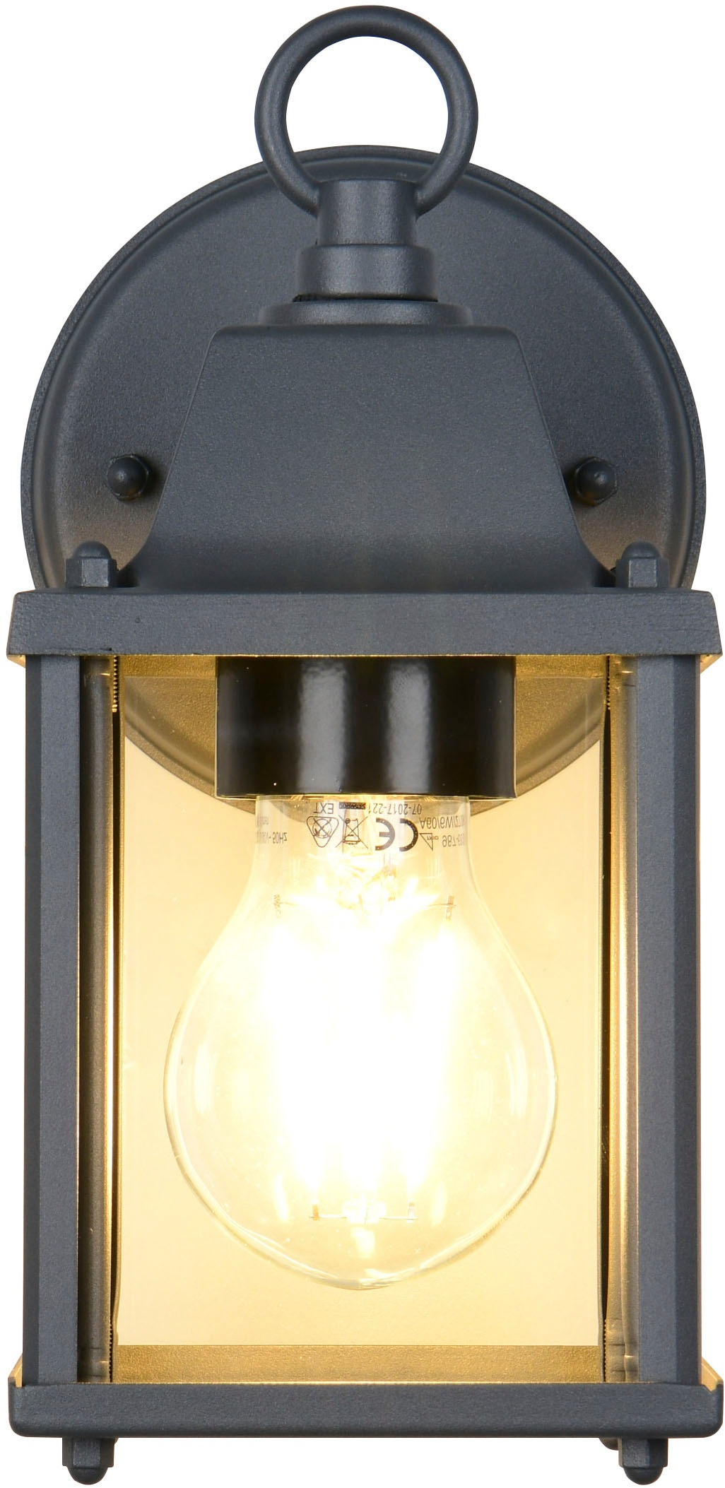 TRIO Leuchten Außen-Wandleuchte »MIRANDE, Hauswand Leuchte Laterne mit Glasschirm, exkl 1x E27 max 40W«, 1 flammig, Leuchtmittel E27 | Leuchtmittel wechselbar, IP23, Outdoor Wandlampe für wechselbare Leuchtmittel Höhe 23cm