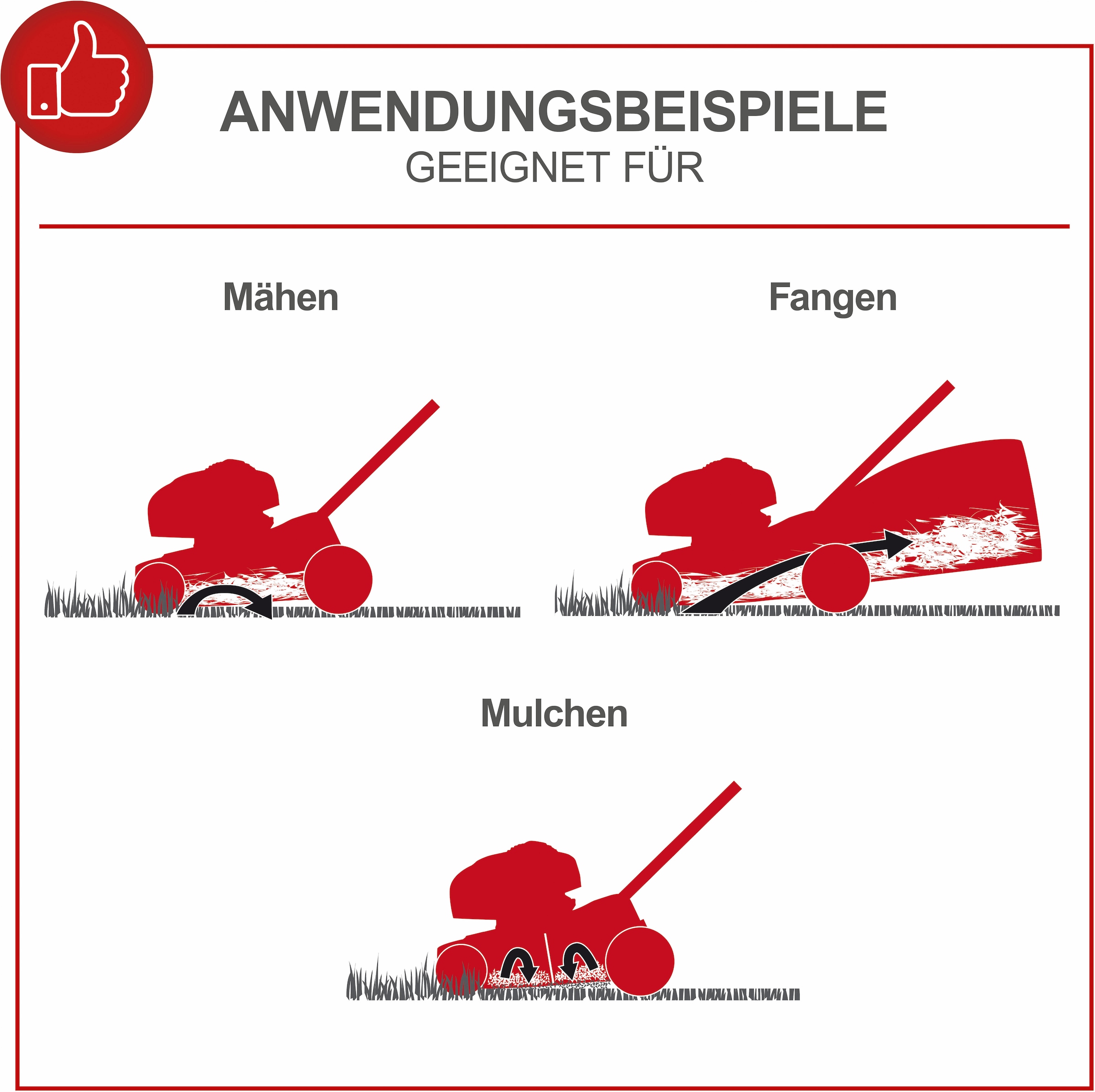 Scheppach Benzinrasenmäher »MS225-56«