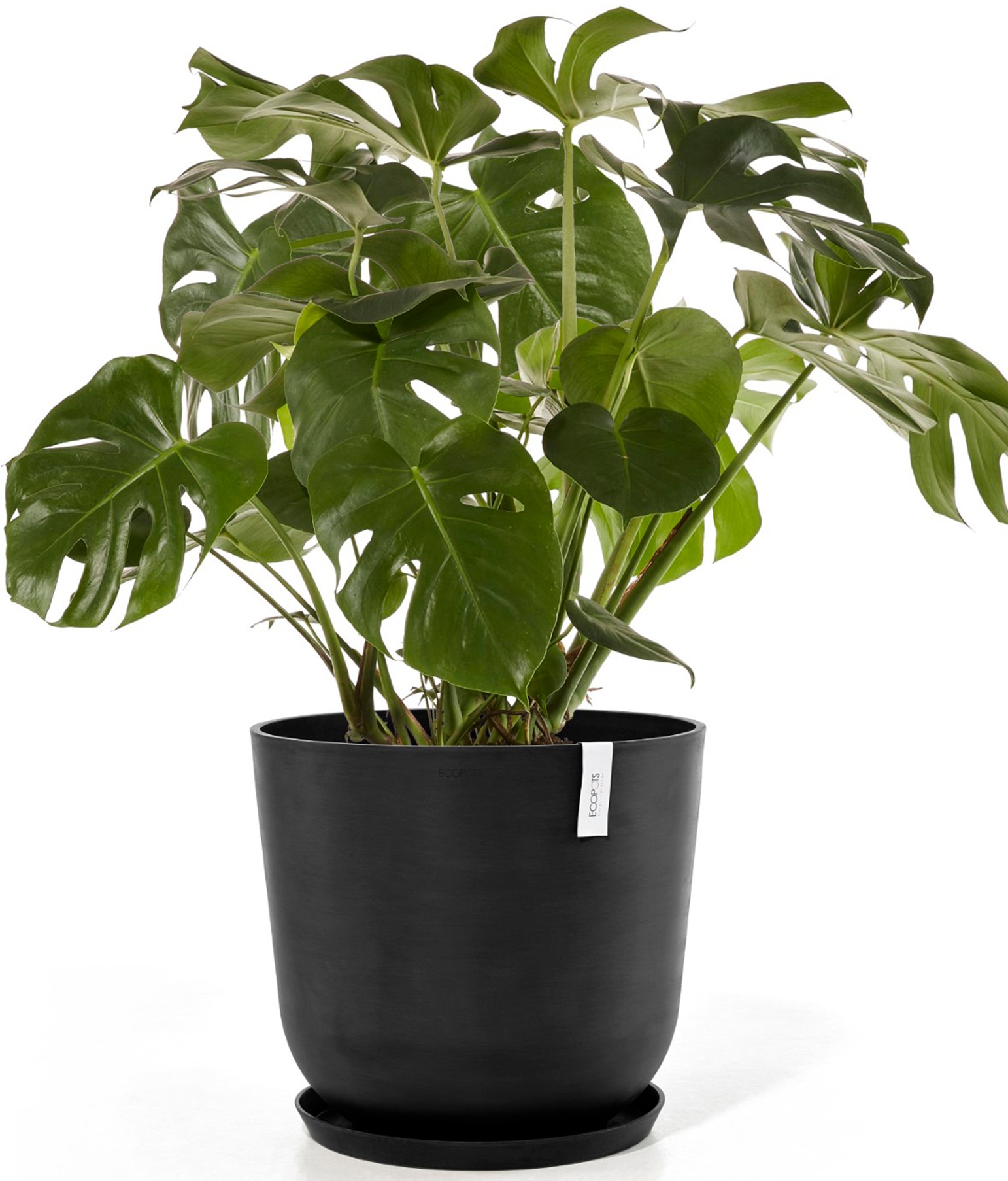 ECOPOTS Blumentopf »Oslo 55 + Wassersystem Dunkelgrau«, für innen und außen: frostsicher, bruchsicher und lichtbeständig