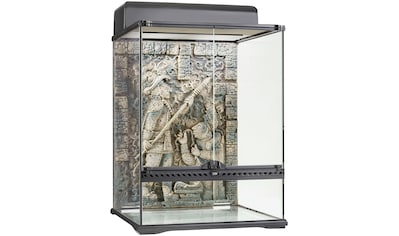Exo Terra Terrarium »Aztec«, BxTxH: 45x45x60 cm kaufen
